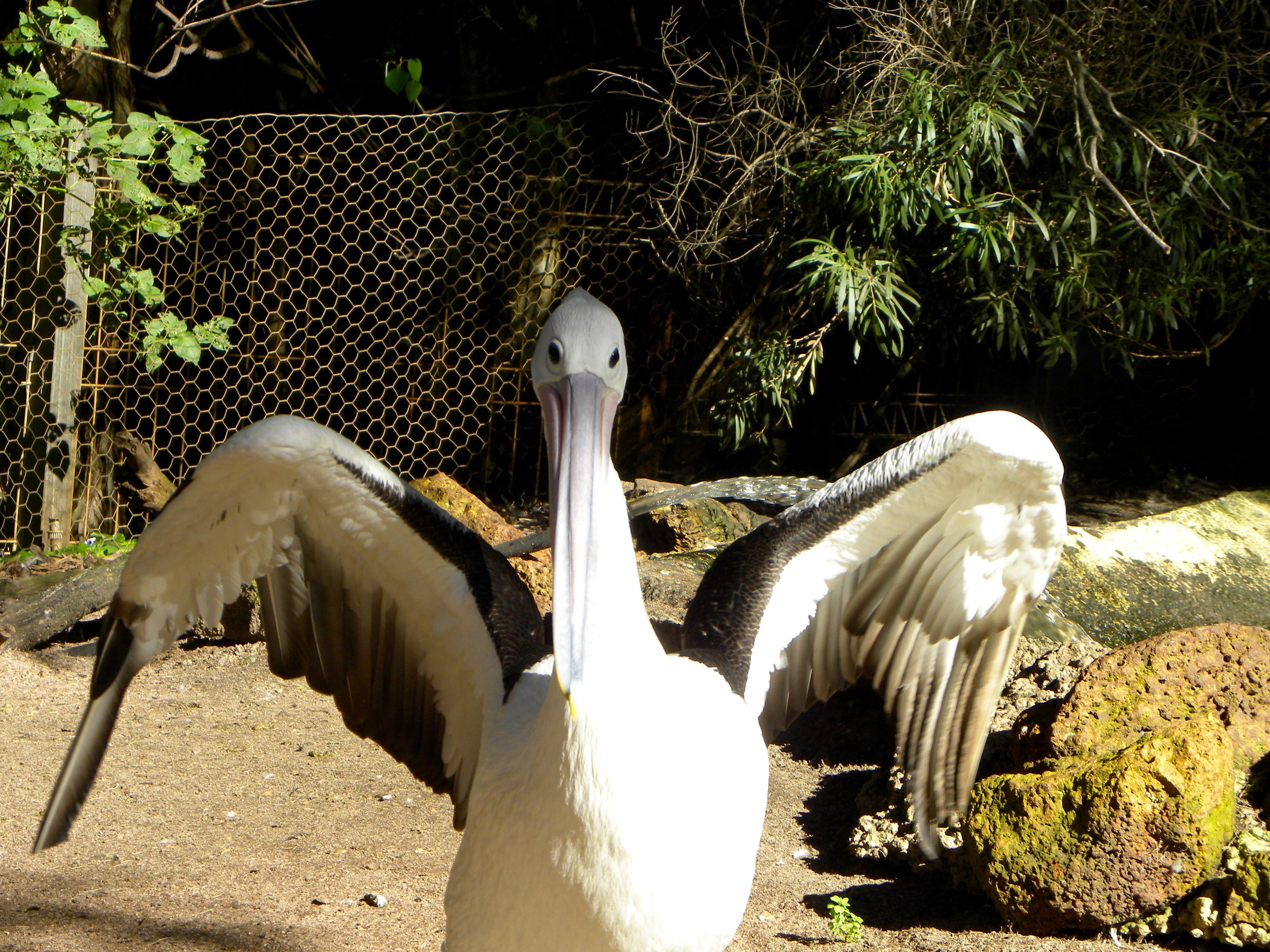 DSCN1357.jpg