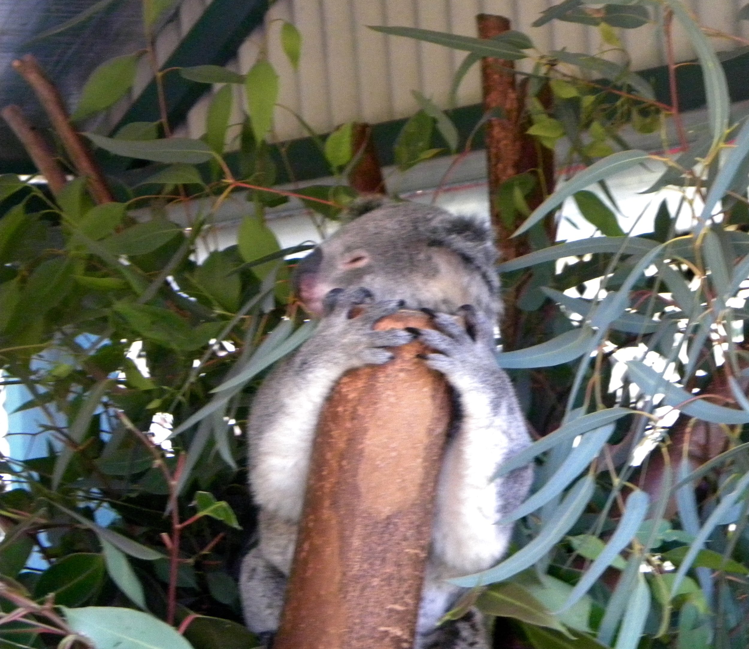 DSCN1385.jpg