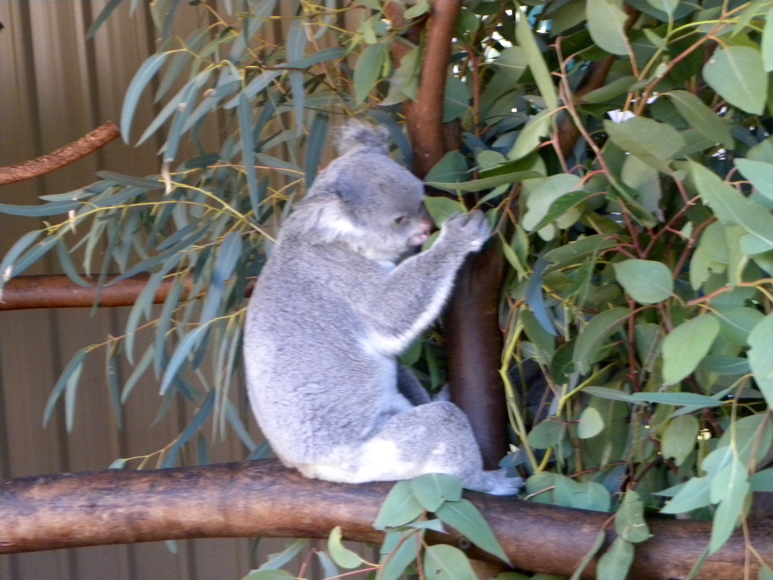 DSCN1383.jpg