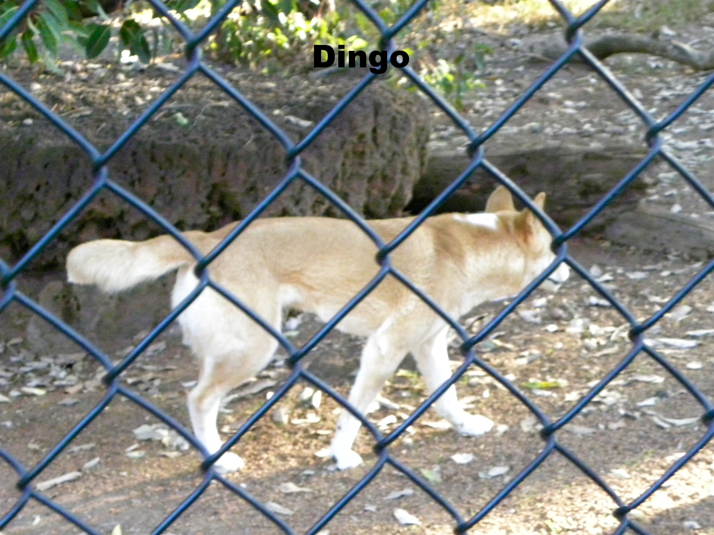 DSCN1402.jpg