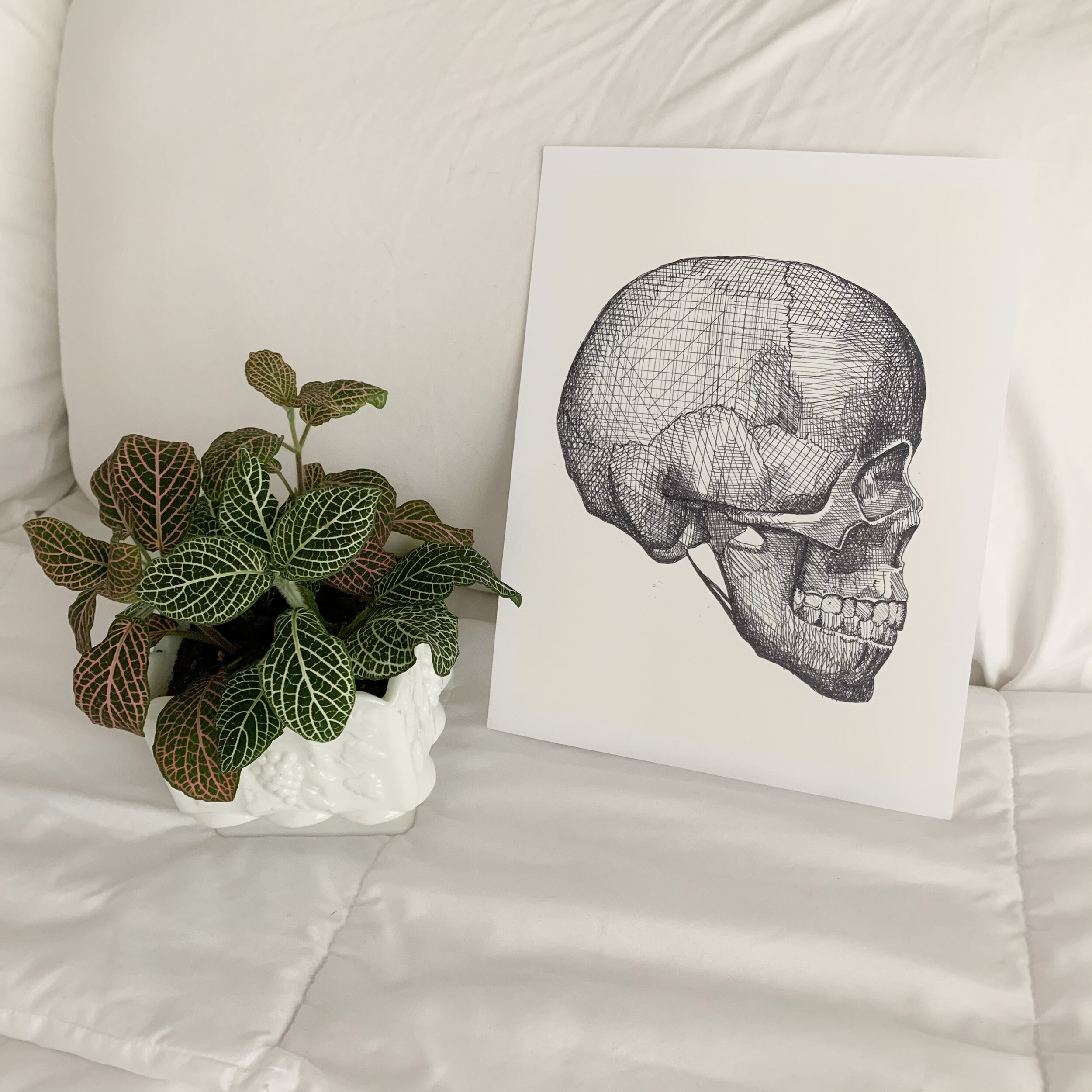 Skull (Print)