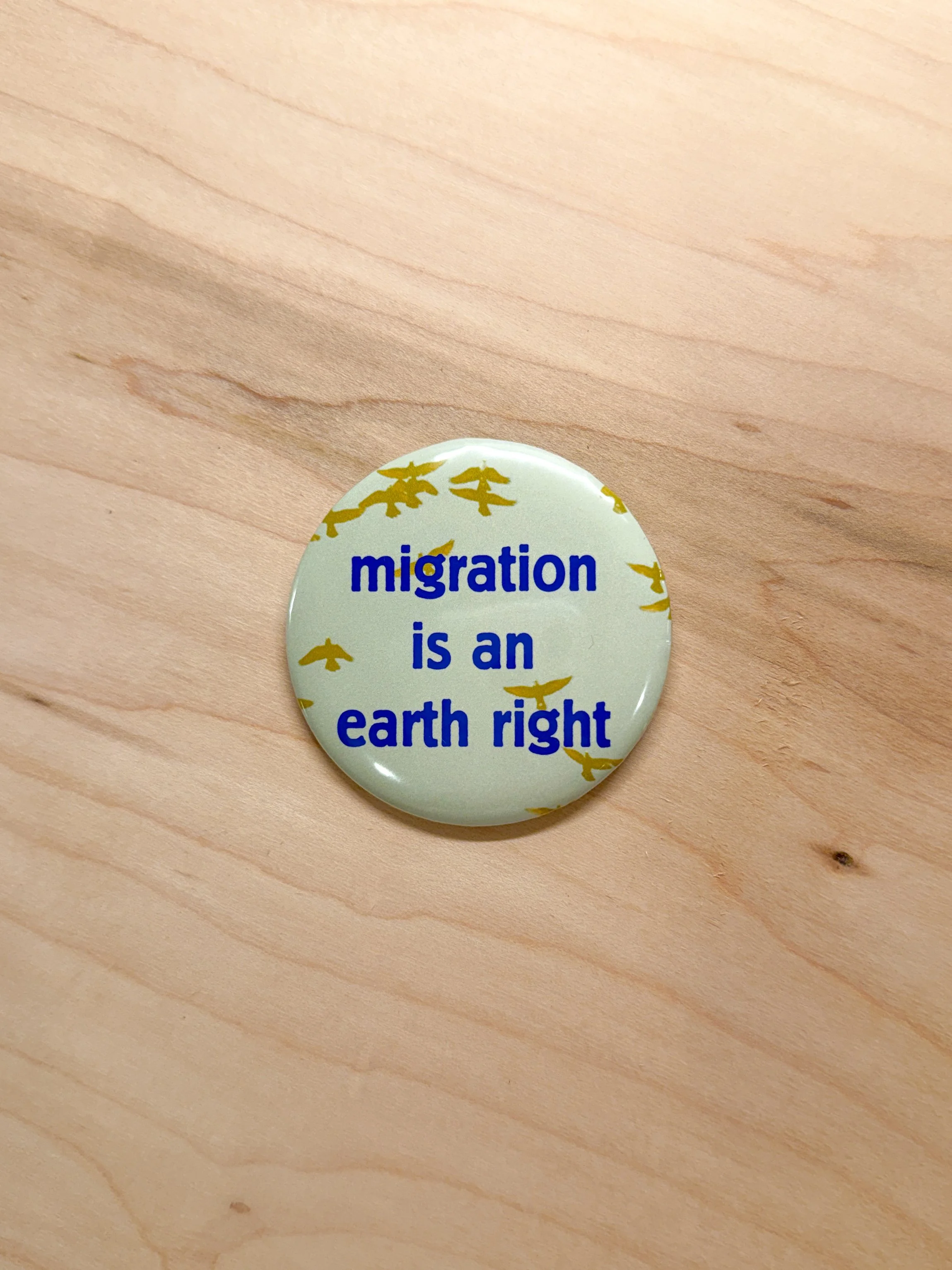 Migration is an Earth Right.JPG
