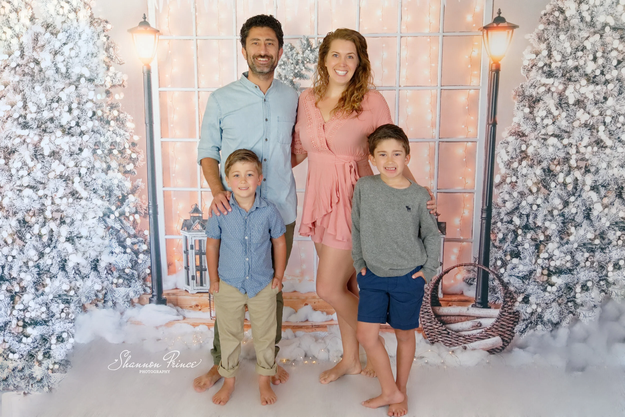 Large holiday backdrop