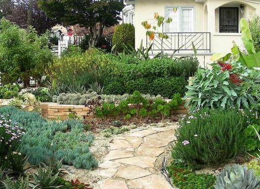 sustainable+native+garden.jpeg