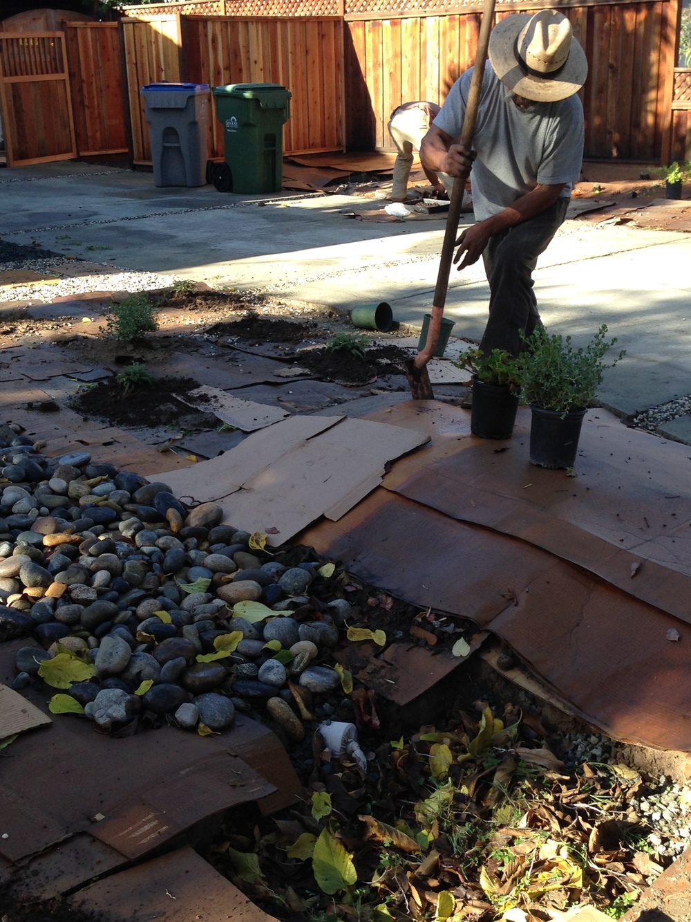 collecting+rainwater.jpeg