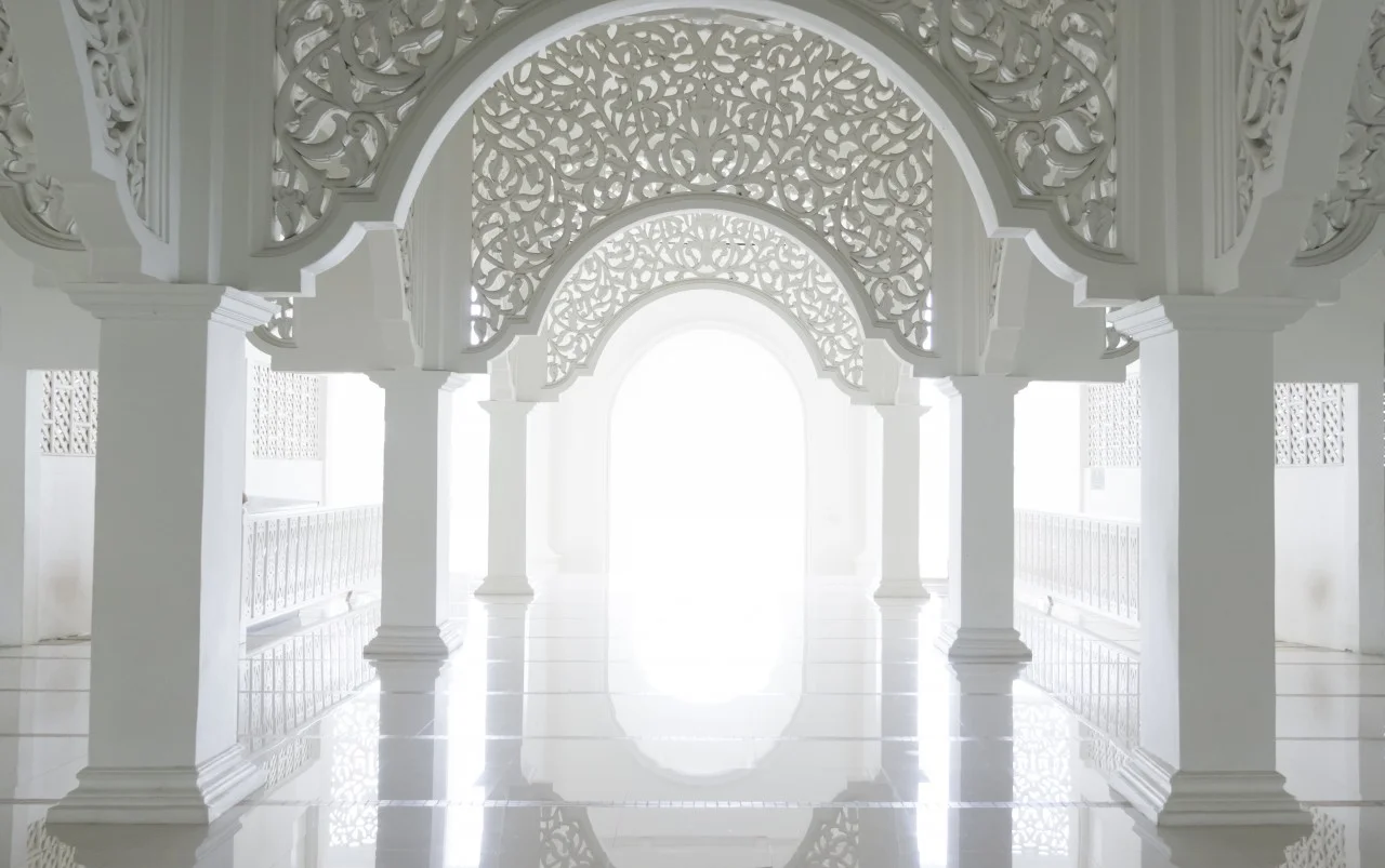 Highkey-image-of-a-beautiful-intricate-pattern.jpg