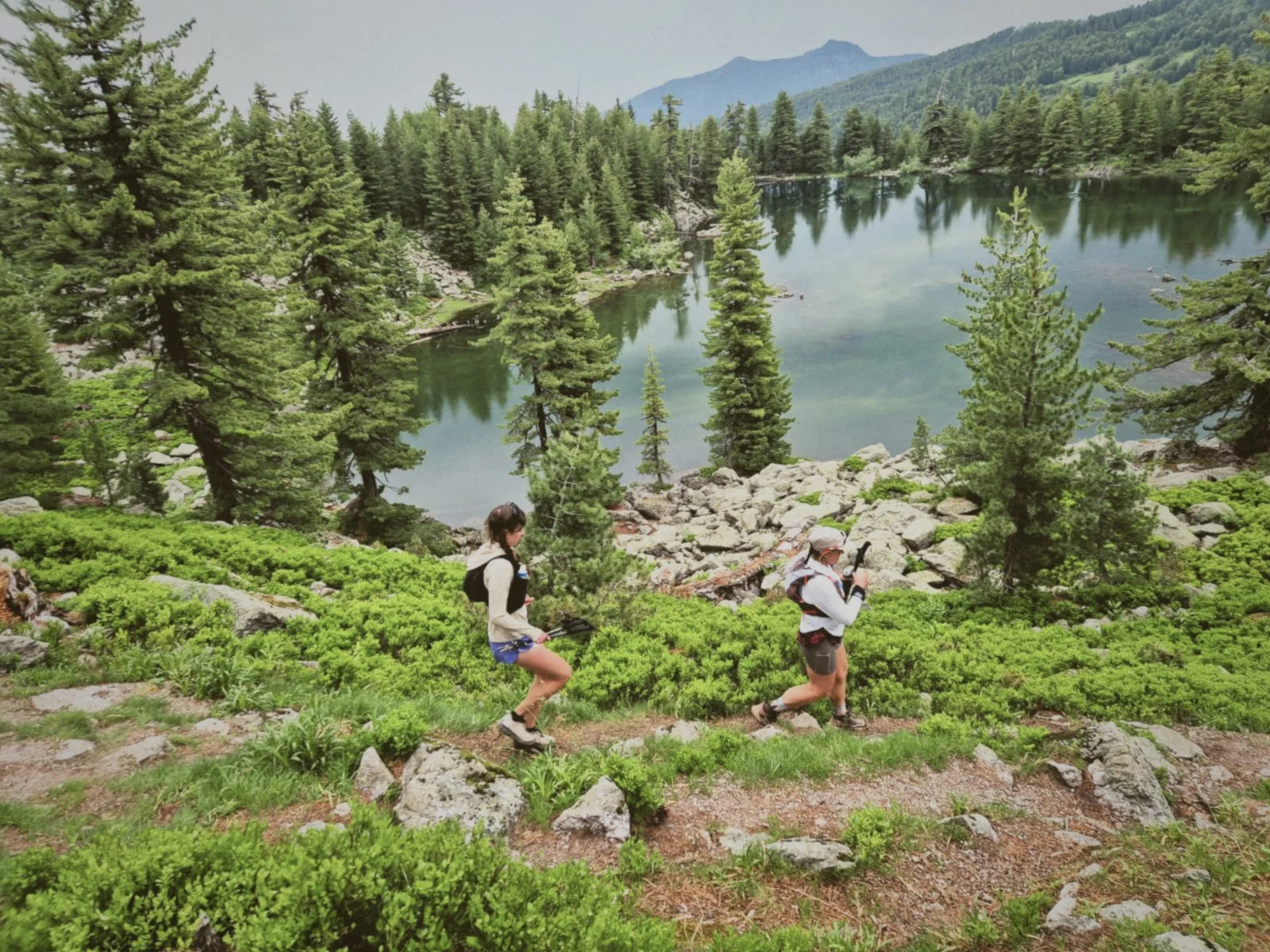 Alpine glacial lake in a high pine forest along the Peaks of the Balkans trail, Accursed Mountains