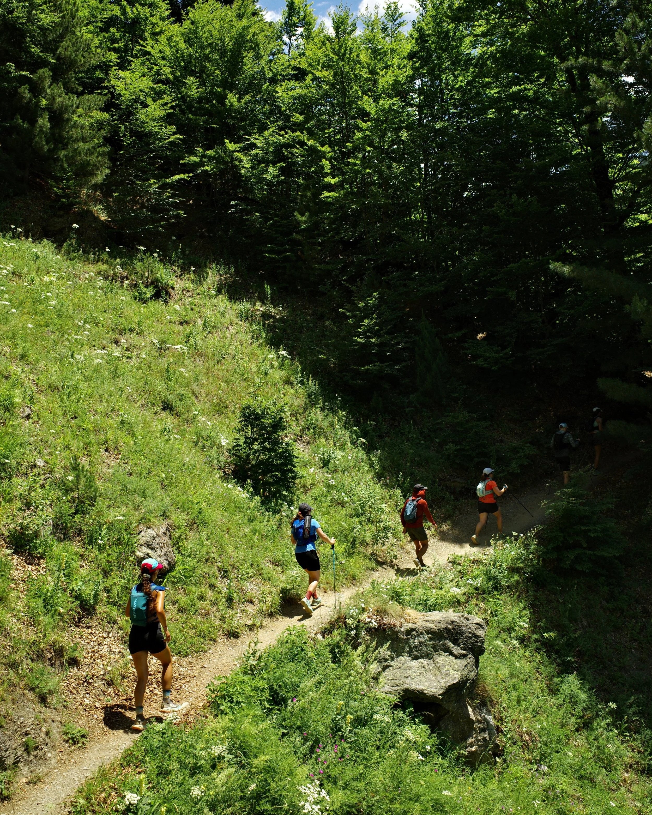 Trail runner in dense Montenegrin pine forest along the Peaks of the Balkans route, Accursed Mountains of Albania and Montenegro