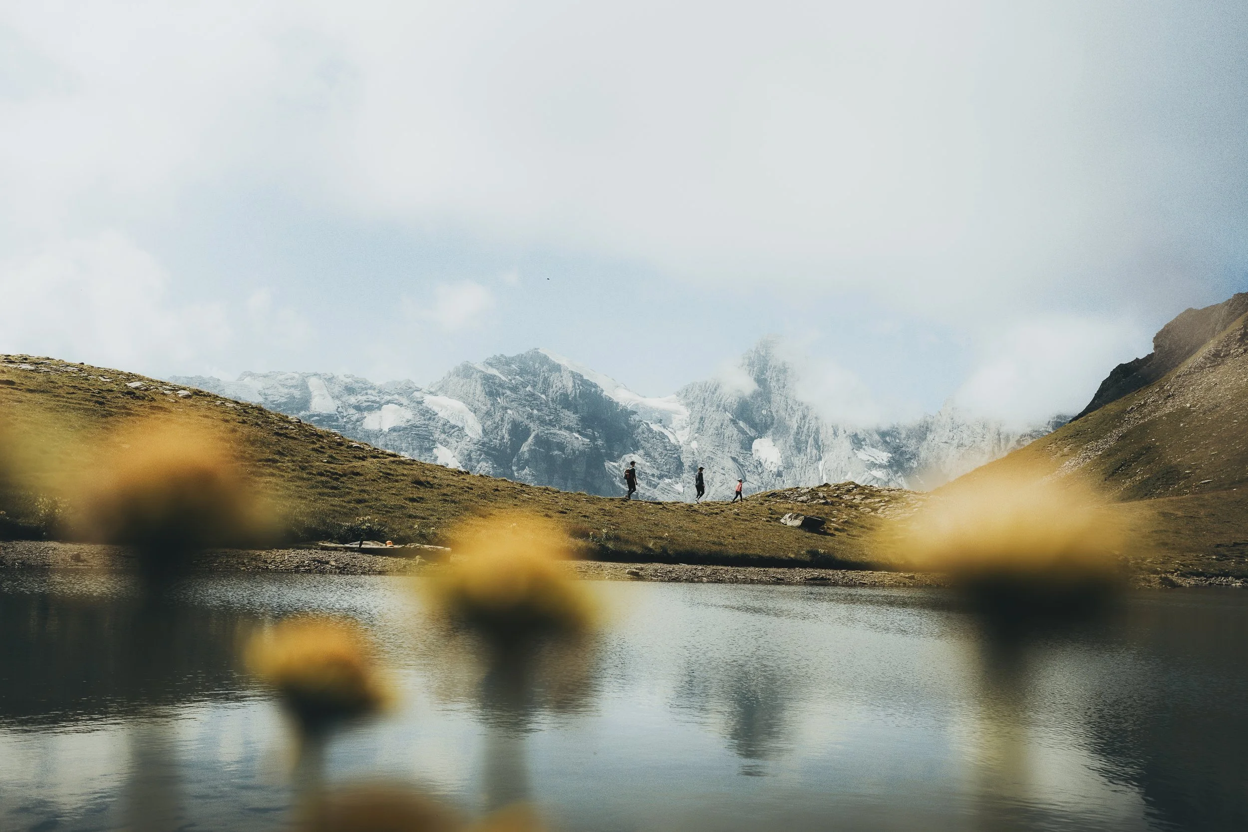 SwissFamRC086.jpeg