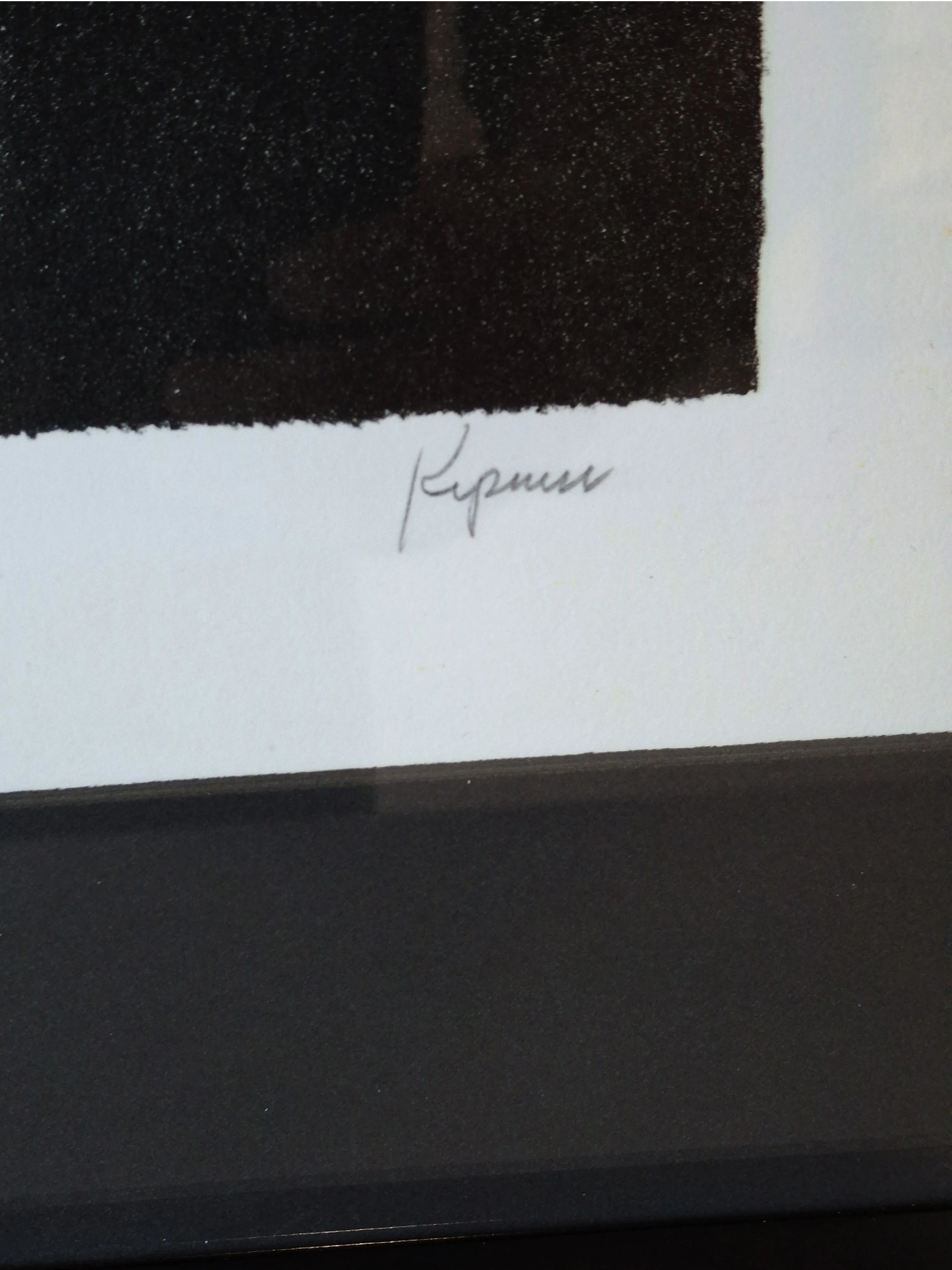 Robert Kipniss Green Roofs Signature.jpg