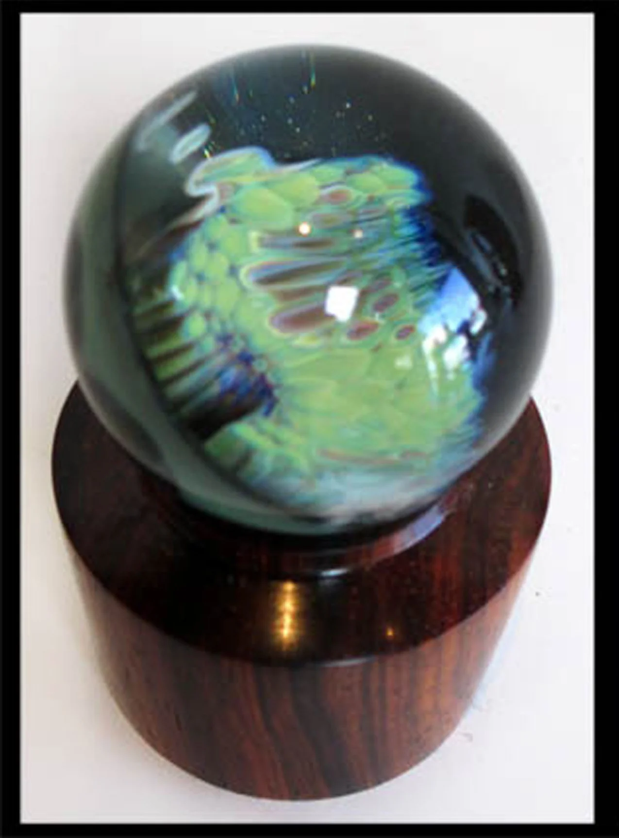 Snyder Nathan Carni  1.52(D) Inches  $200.jpg