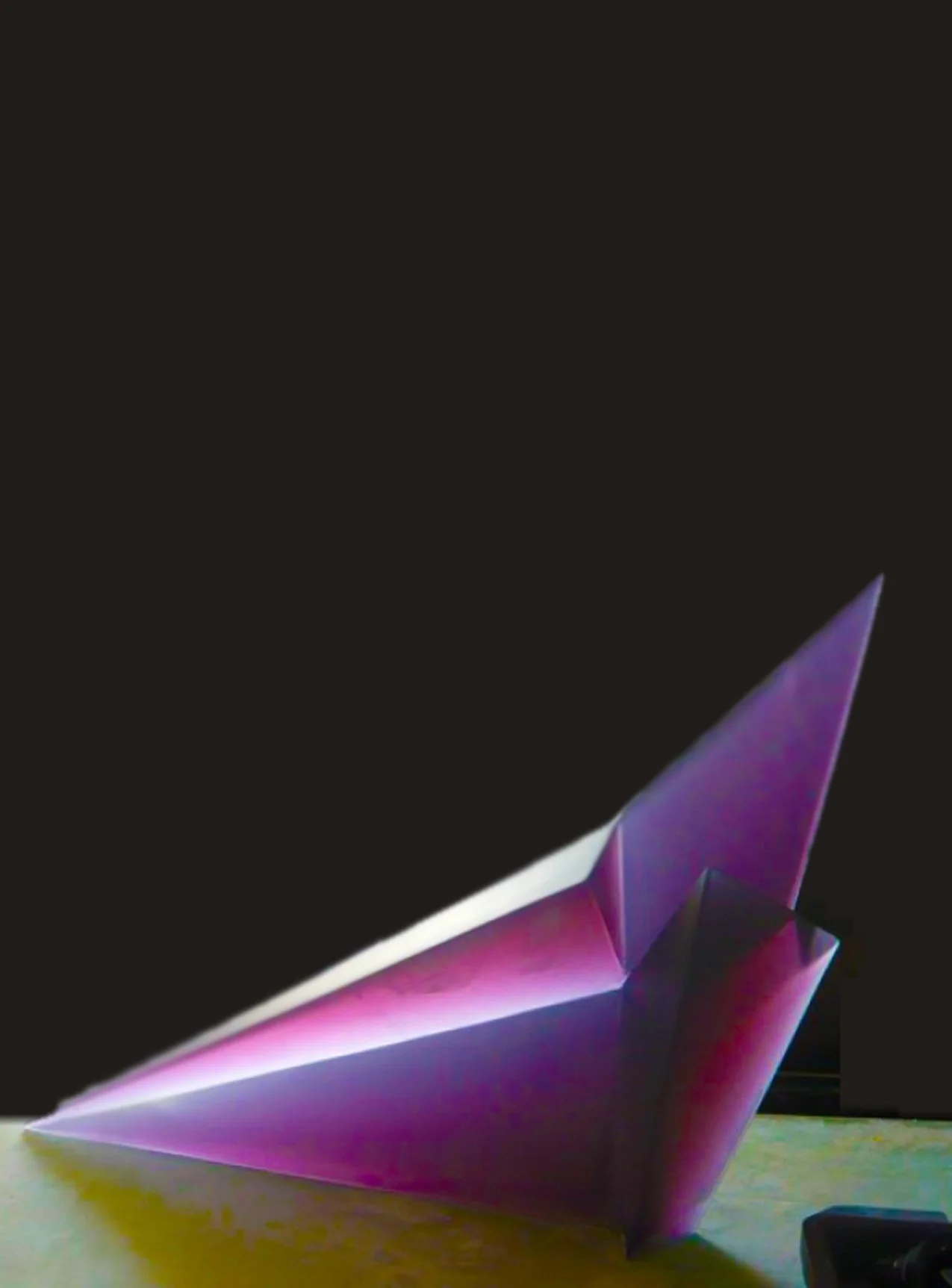 Emma Camden: Purple Flyer 