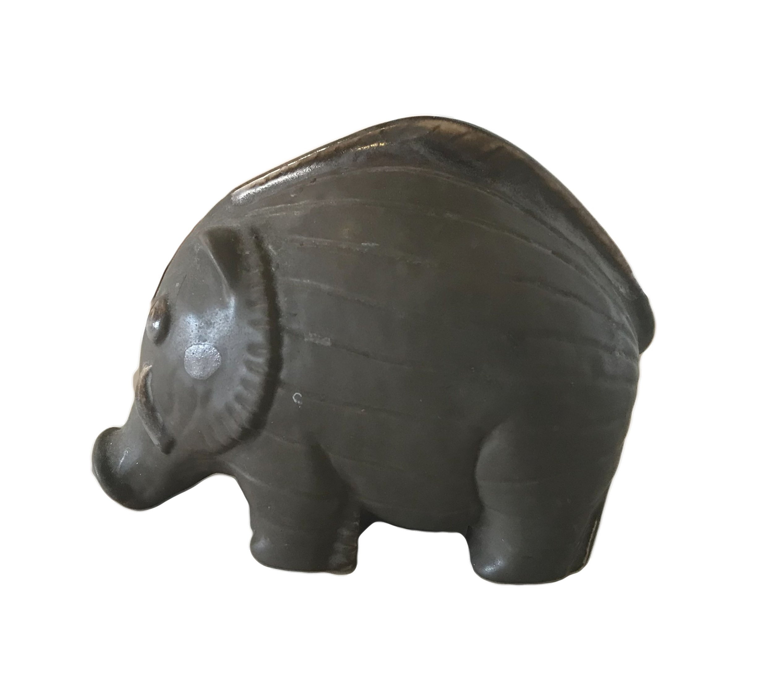 Wild Boar