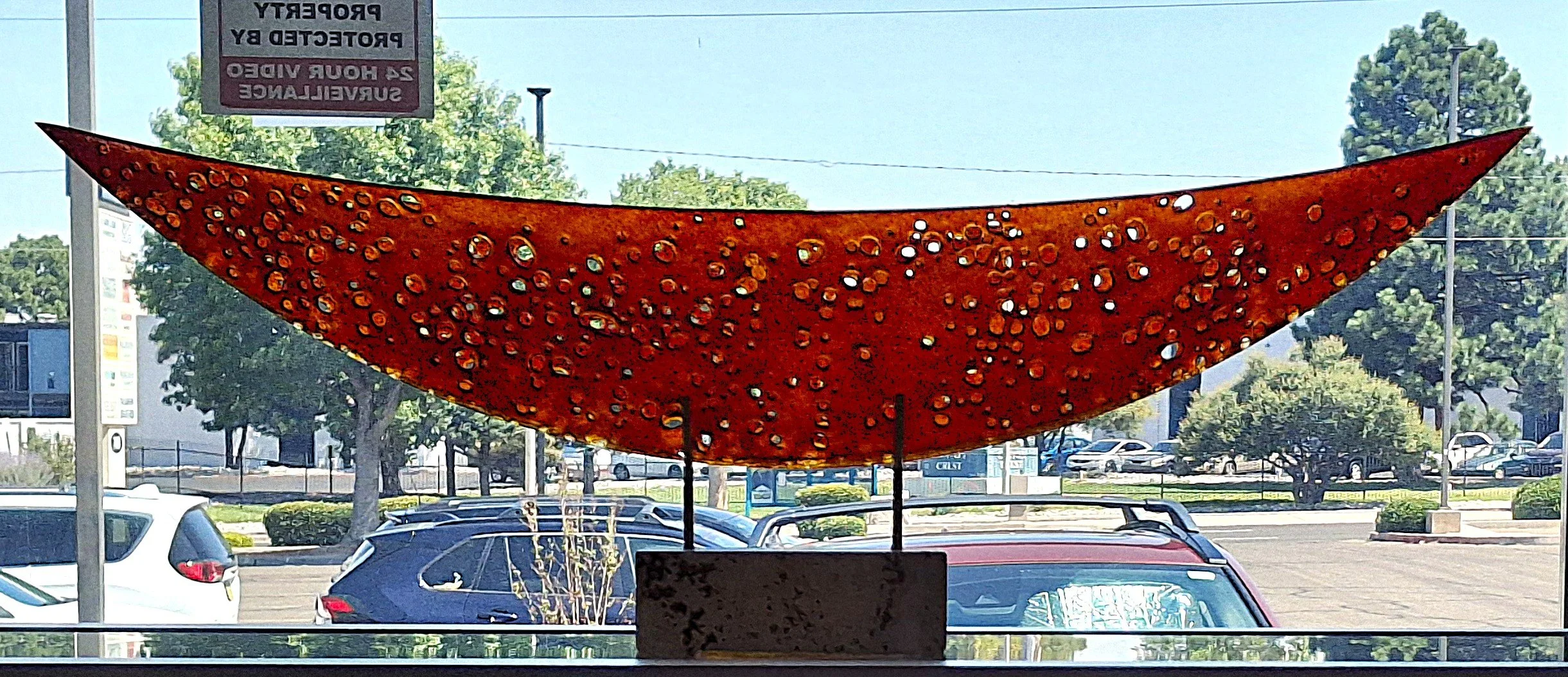 20260716_111013.jpg