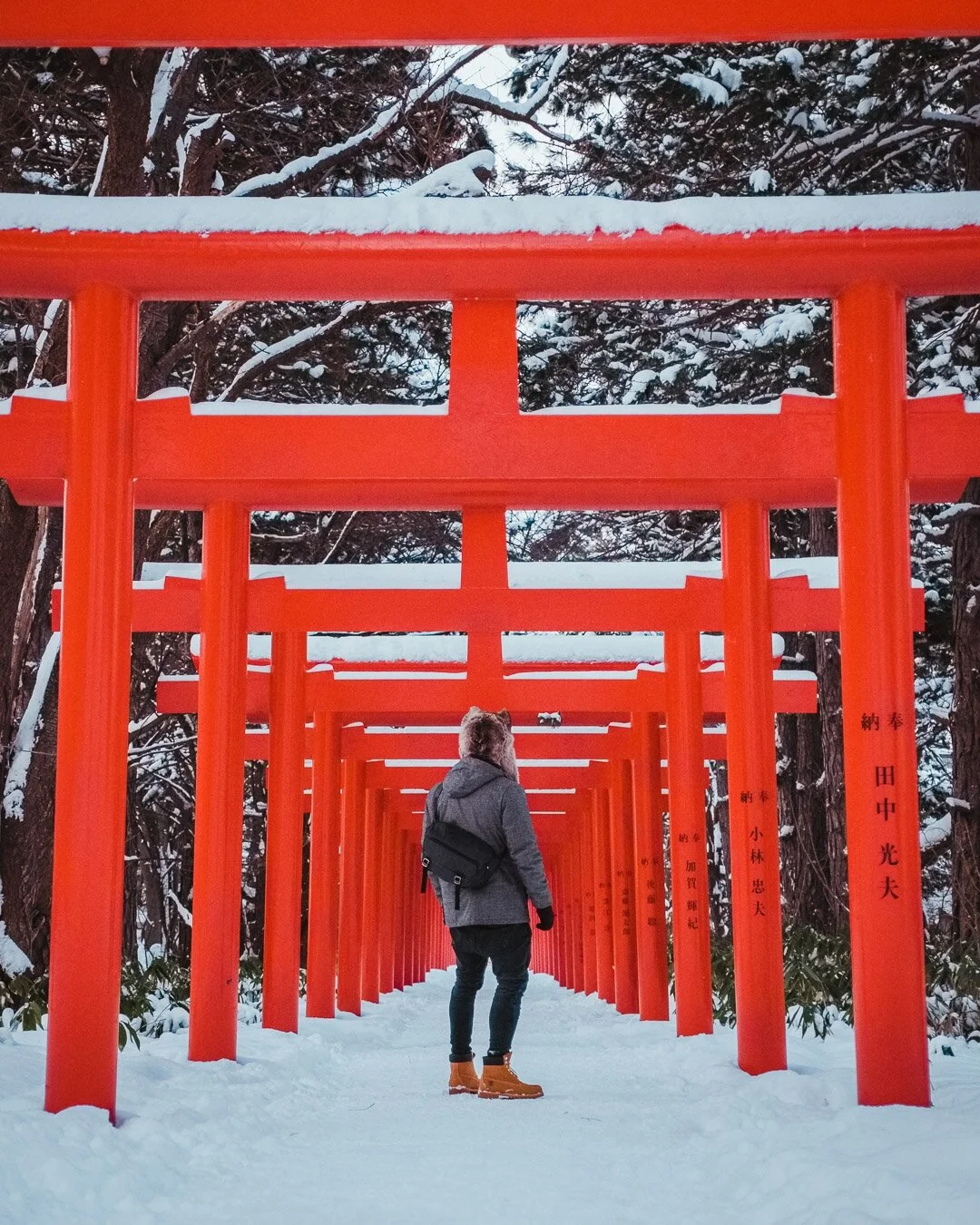 Man+Standin+In+The+Middle+Of+Fushimi+Inari+Shrine+In+Sapporo+Japan+In+Snow.jpg