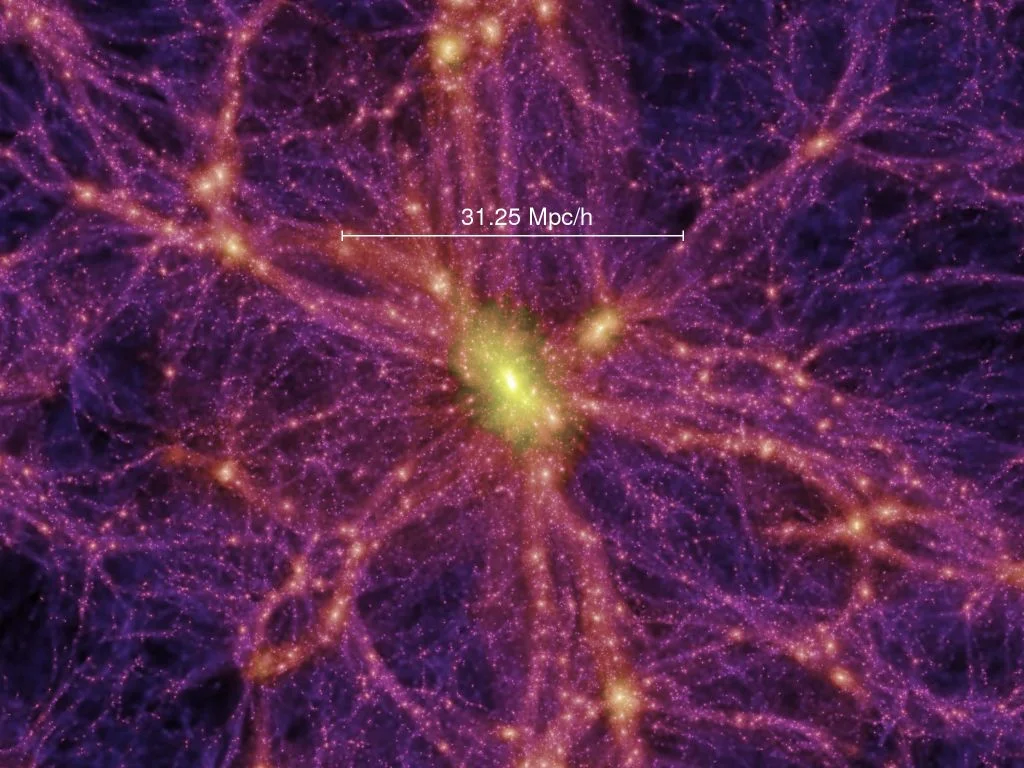 Simulation of the Cosmic Web from the Millennium Simulation Project (Springel et al. 2005, Nature, 435, 629). 