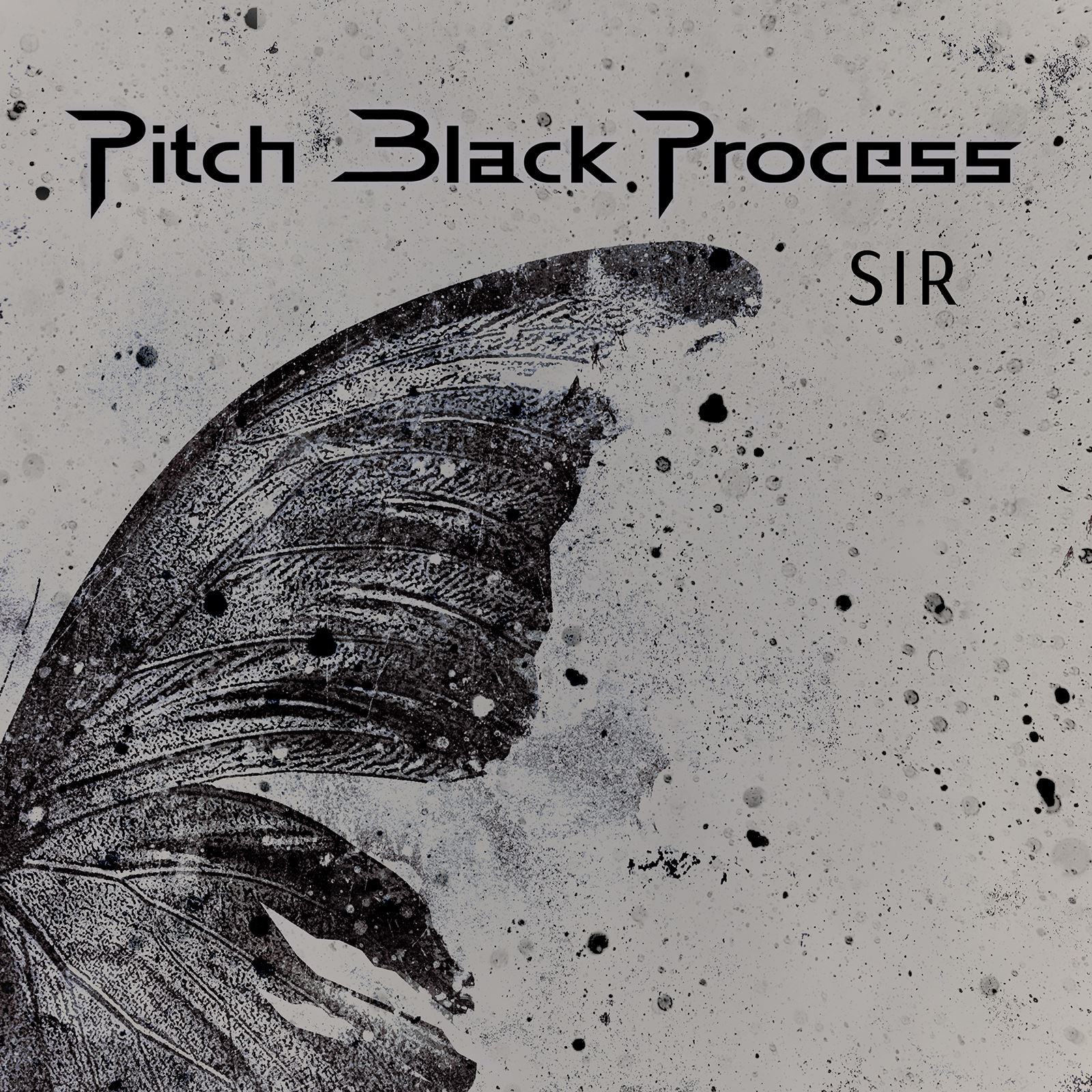 pitch black process_sir.jpg