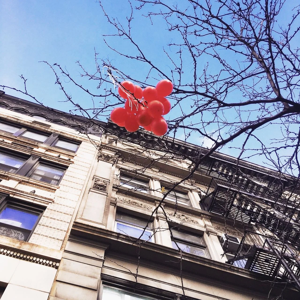 Always look up, that's my advice for life and New York sidewalks. To the person who let go of these in SoHo in November 2016, this hopeful visual has always stayed with me. 