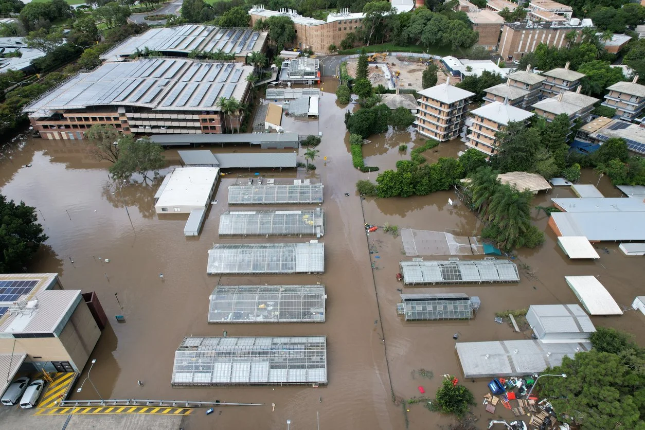 Public Insurance Adjuster Hurricane Flood Damage Insurance Claims