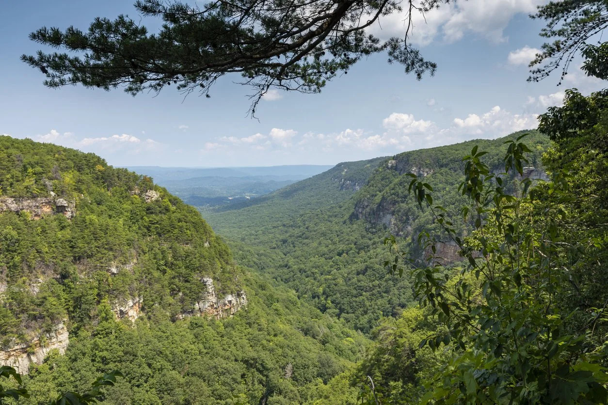 Piney-Bluff-GA-iStock-1054689412.jpg