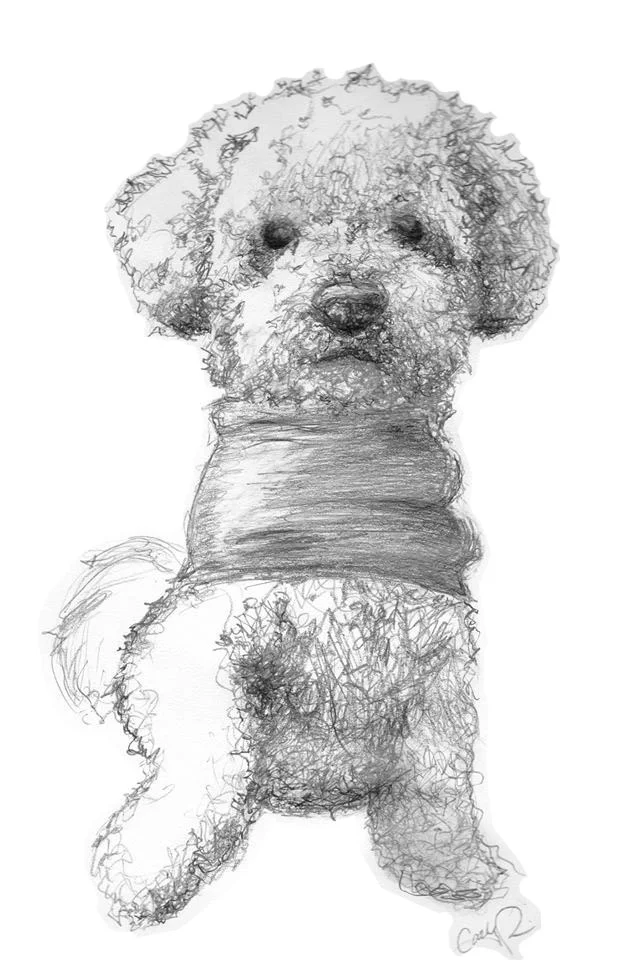 buddy2.jpg