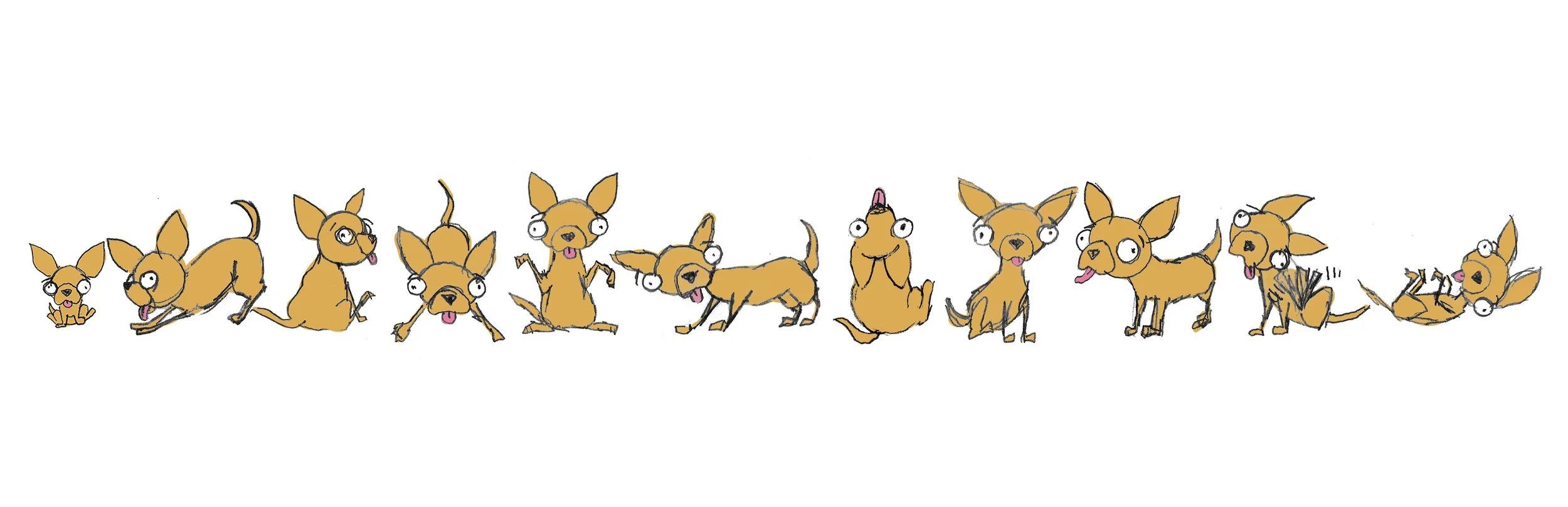 Chihuahuas.jpg