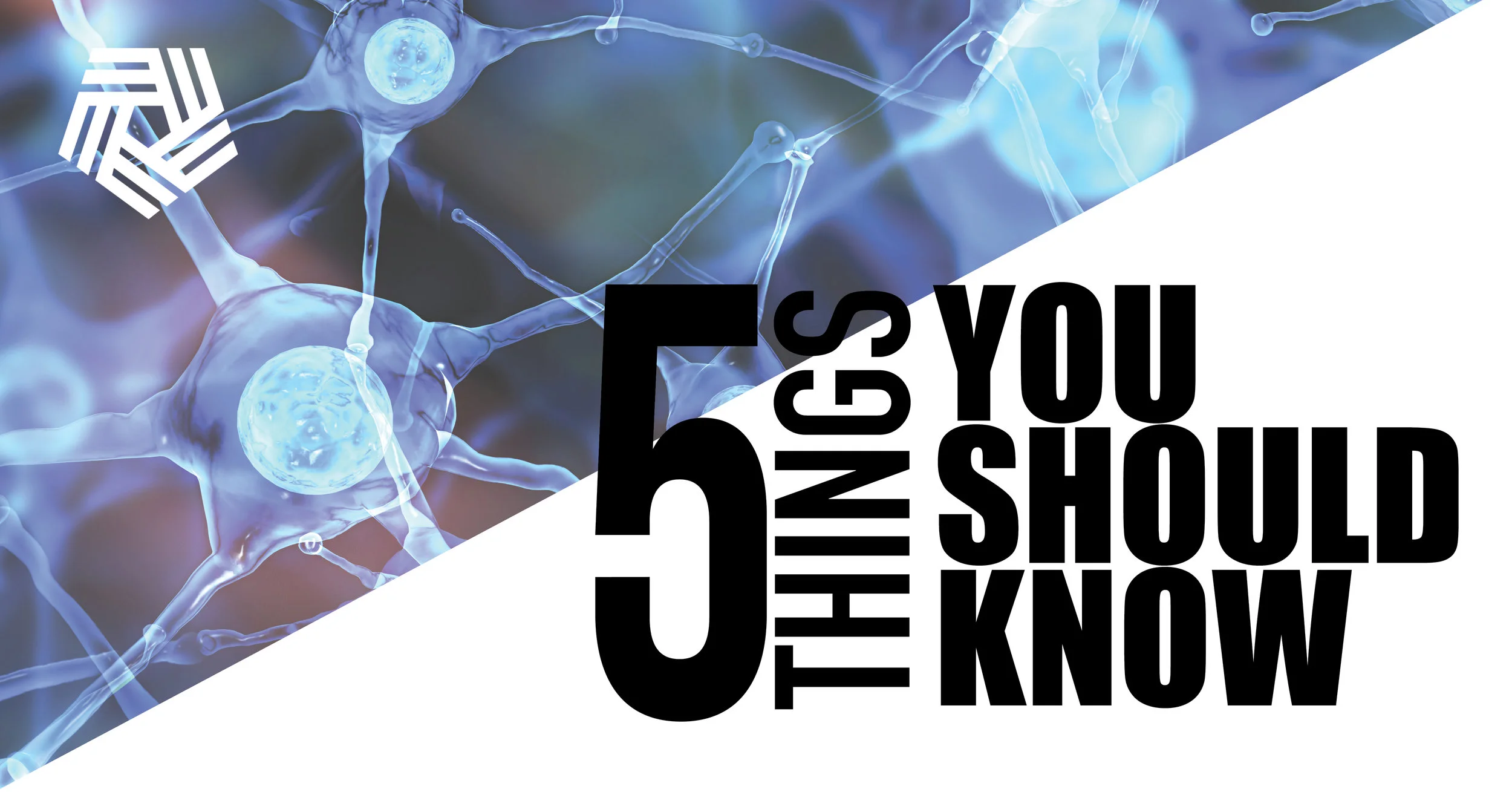 5thingsyoushouldknow6.jpg