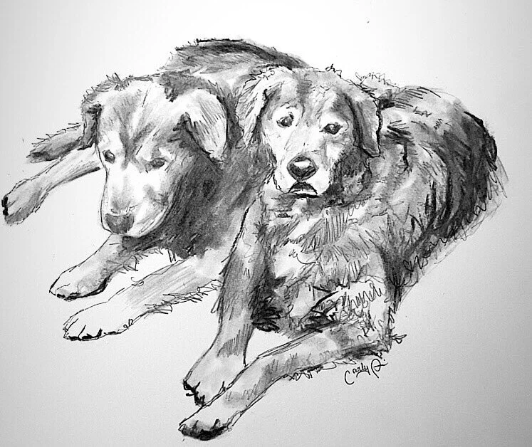 goldens.jpg
