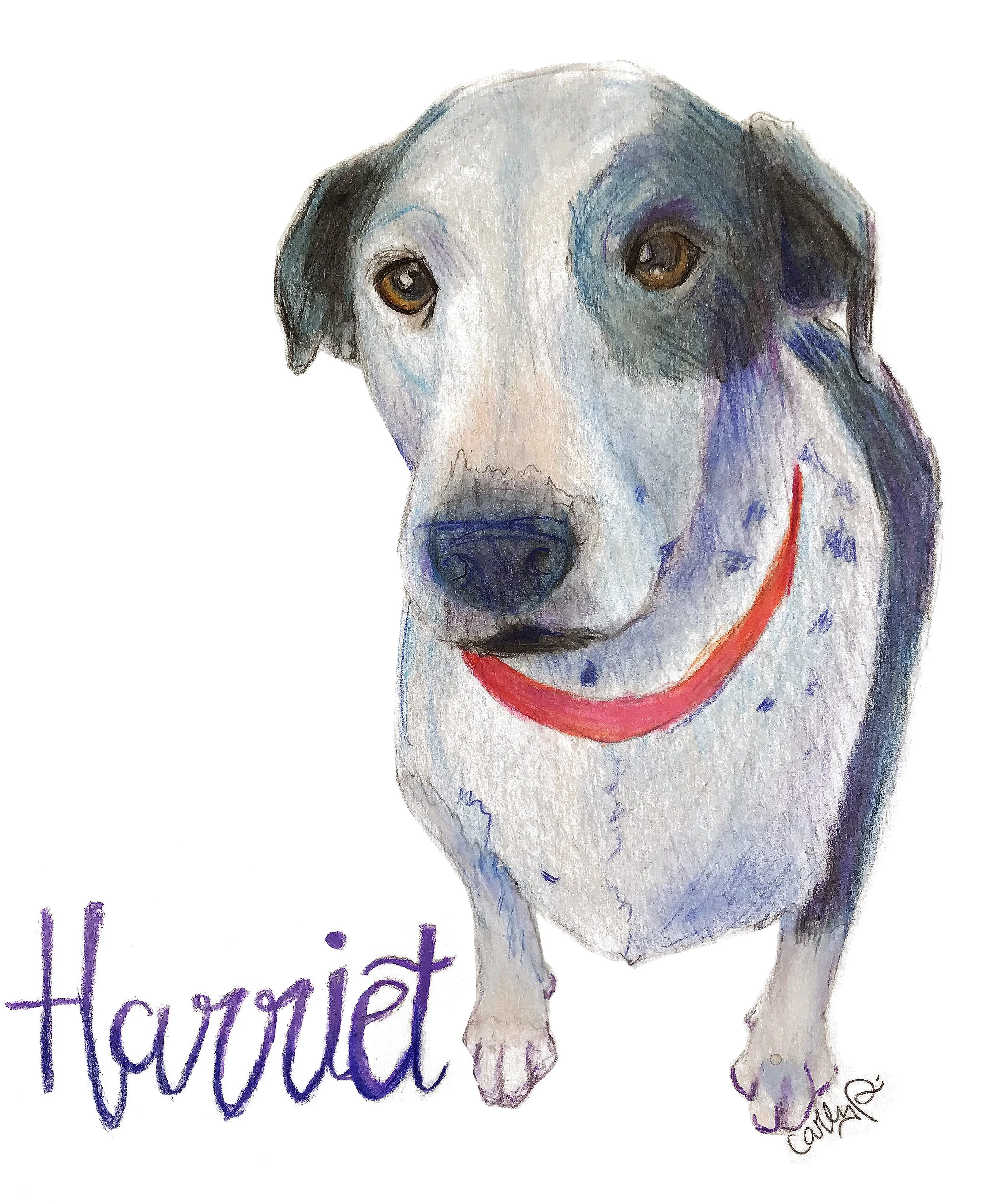 HARRIET edit.jpg