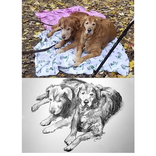 goldens comparison.jpg