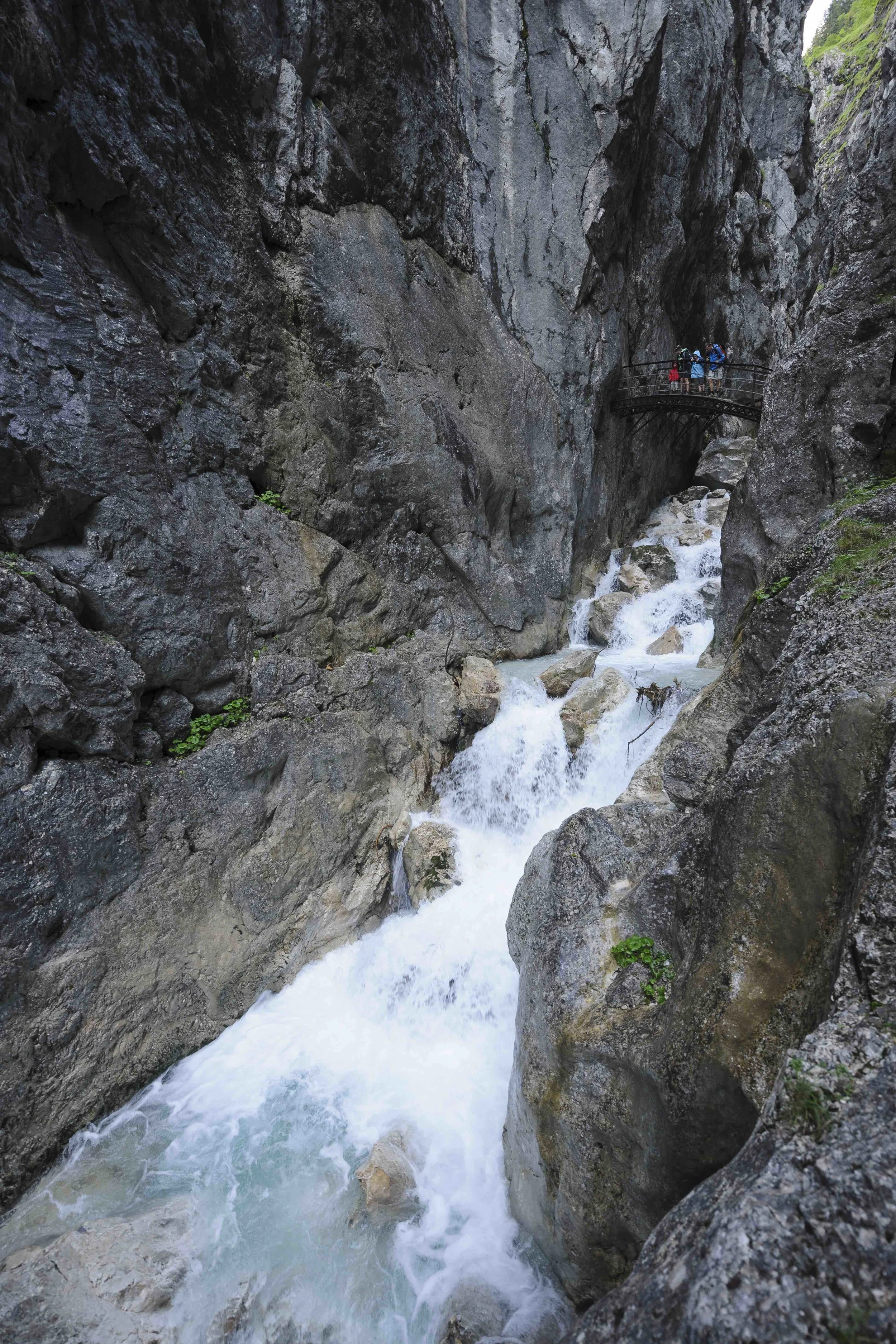 Bild6.jpg