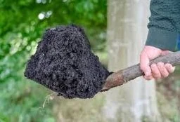 Workshop: Pflanzenkohle herstellen