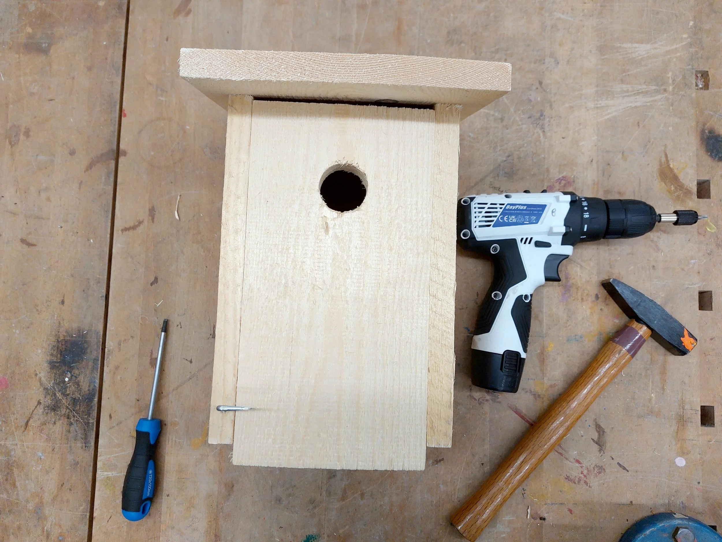 Vogelnistkästen selbst gebaut - Vögel fördern & Klima schützen: Baue deinen eigenen Nistkasten