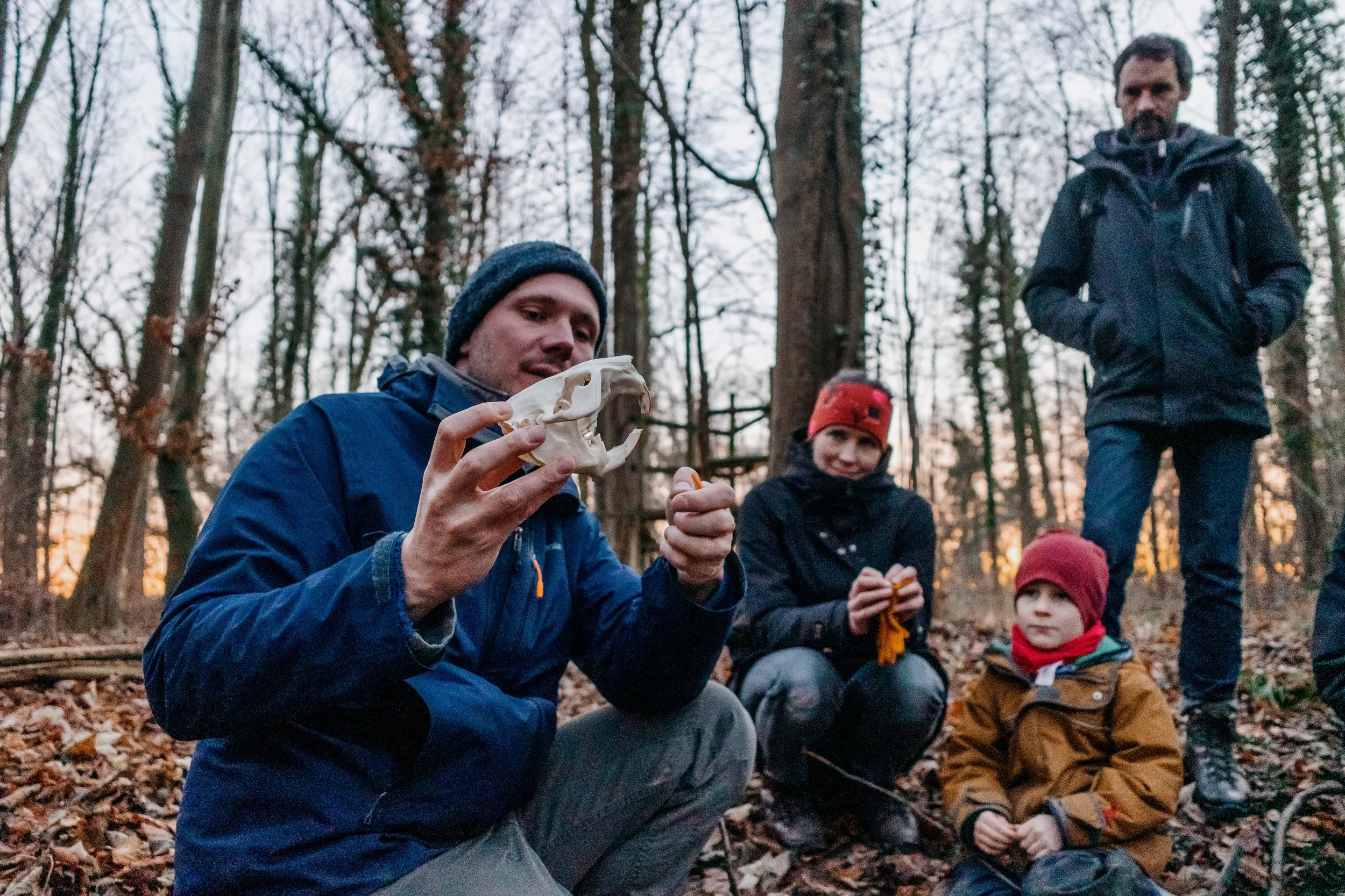 Vom Biber, der einfach macht - Führung ins Biberrevier in den Isarauen