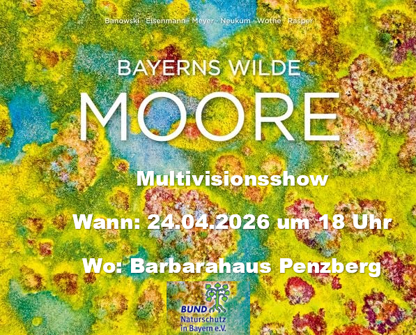 Bayerns Wilde Moore