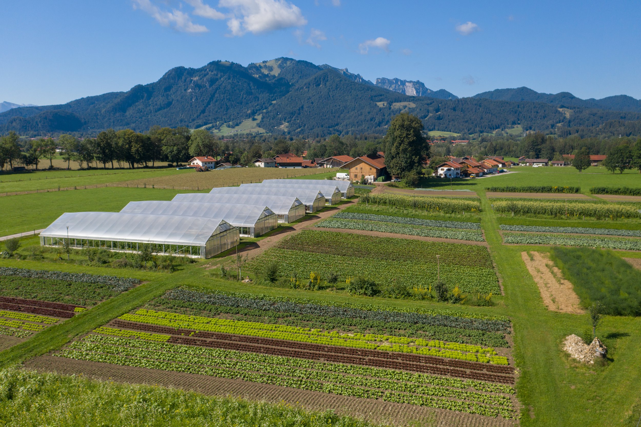 Ernährung beginnt im Boden - Gärtnereiführung durch die Biotop Oberland eG