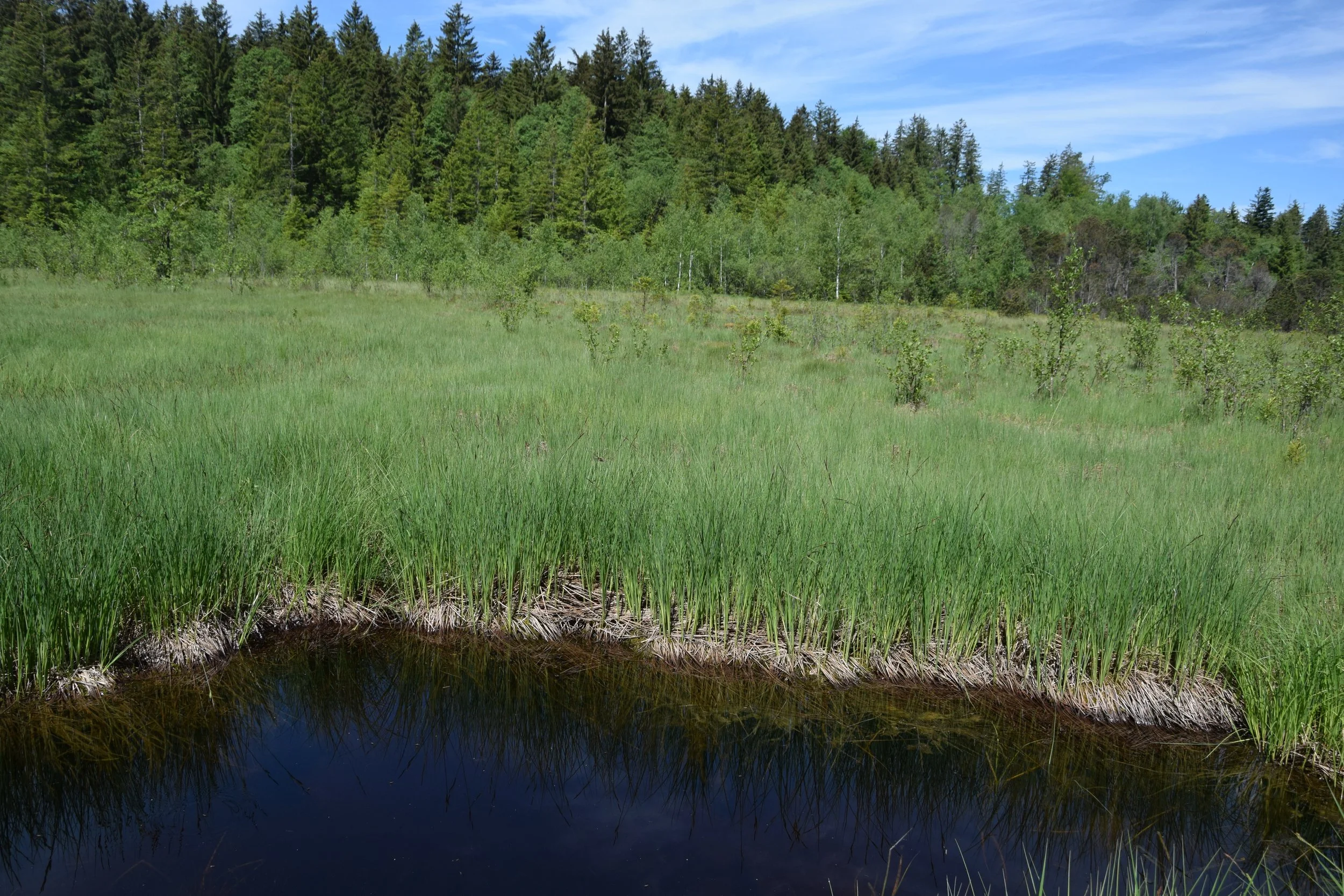 Vielfalt durch Pflege_Markus Henning2.JPG