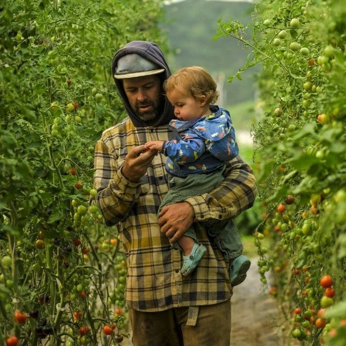 Farming Turns - Anthony Bonello.jpg
