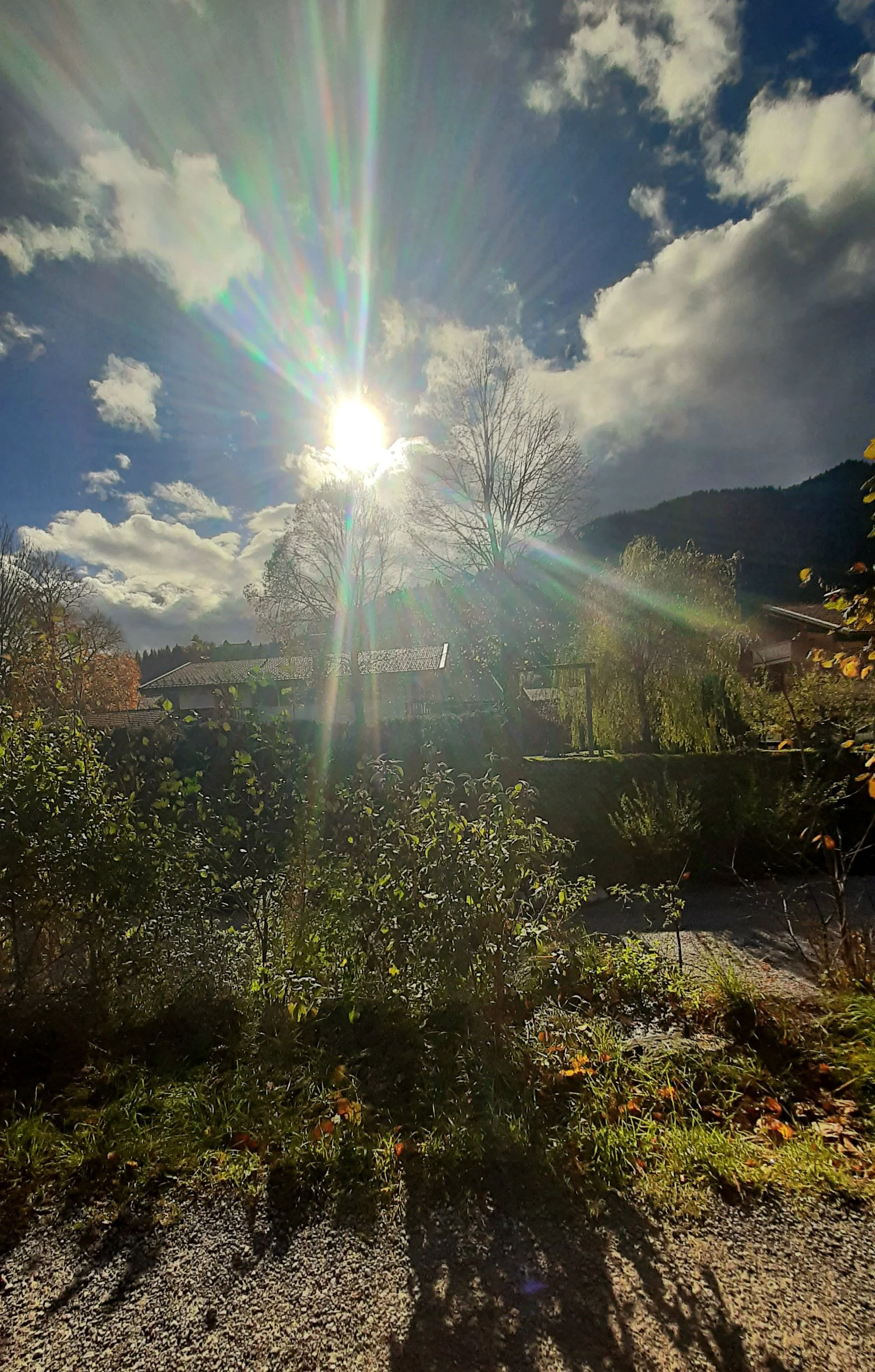 Klimawandel & menschlicher Organismus (3).jpg