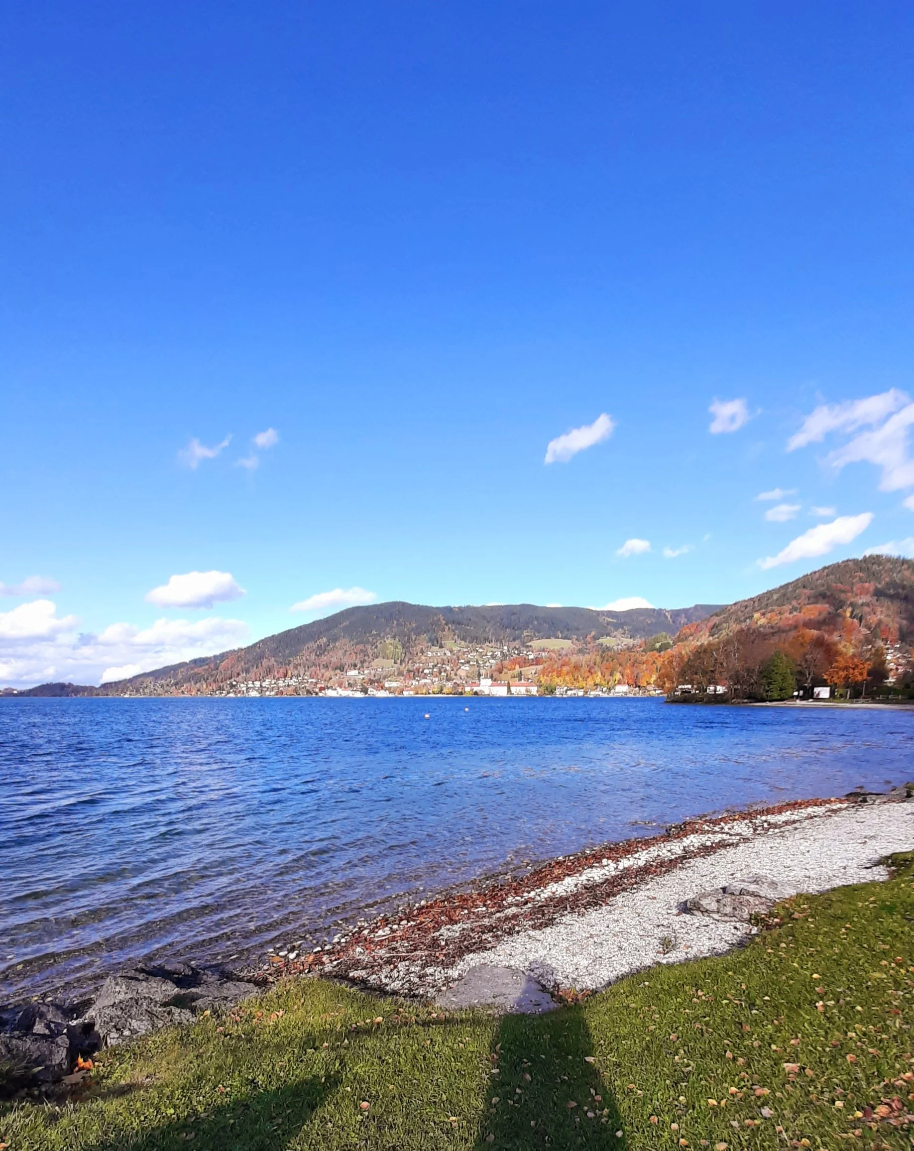 Klimawandel & menschlicher Organismus (5).jpg