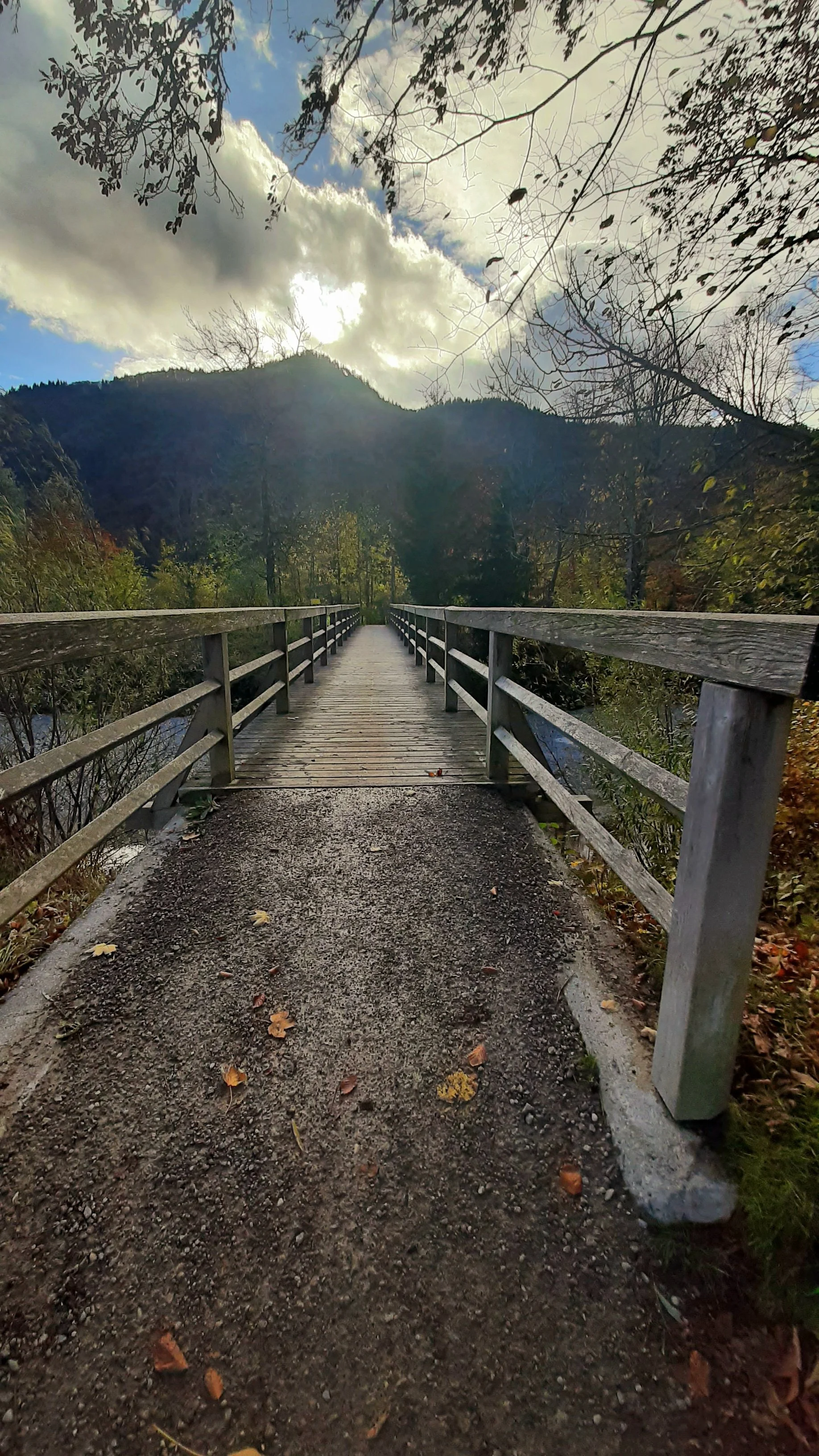 Klimawandel &amp; menschlicher Organismus