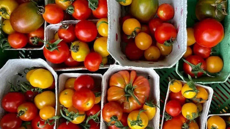 Gemüseanbau — das geht auch im Oberland!