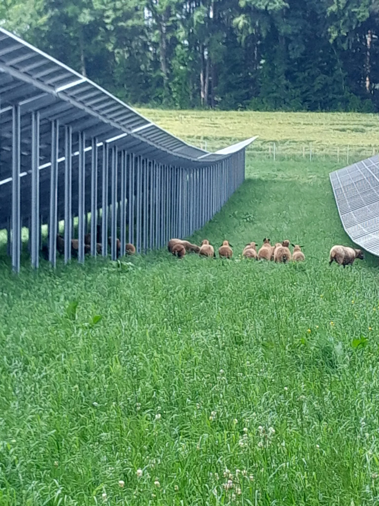 PV-Anlage Agrobs2.jpg