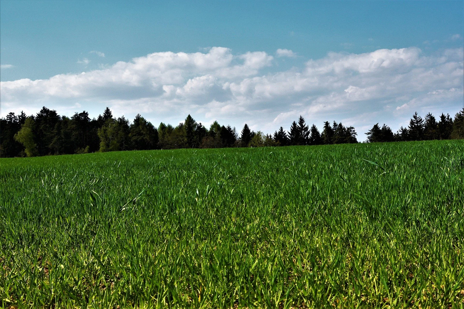 Naturführung durch Peitings Wald & Flur 