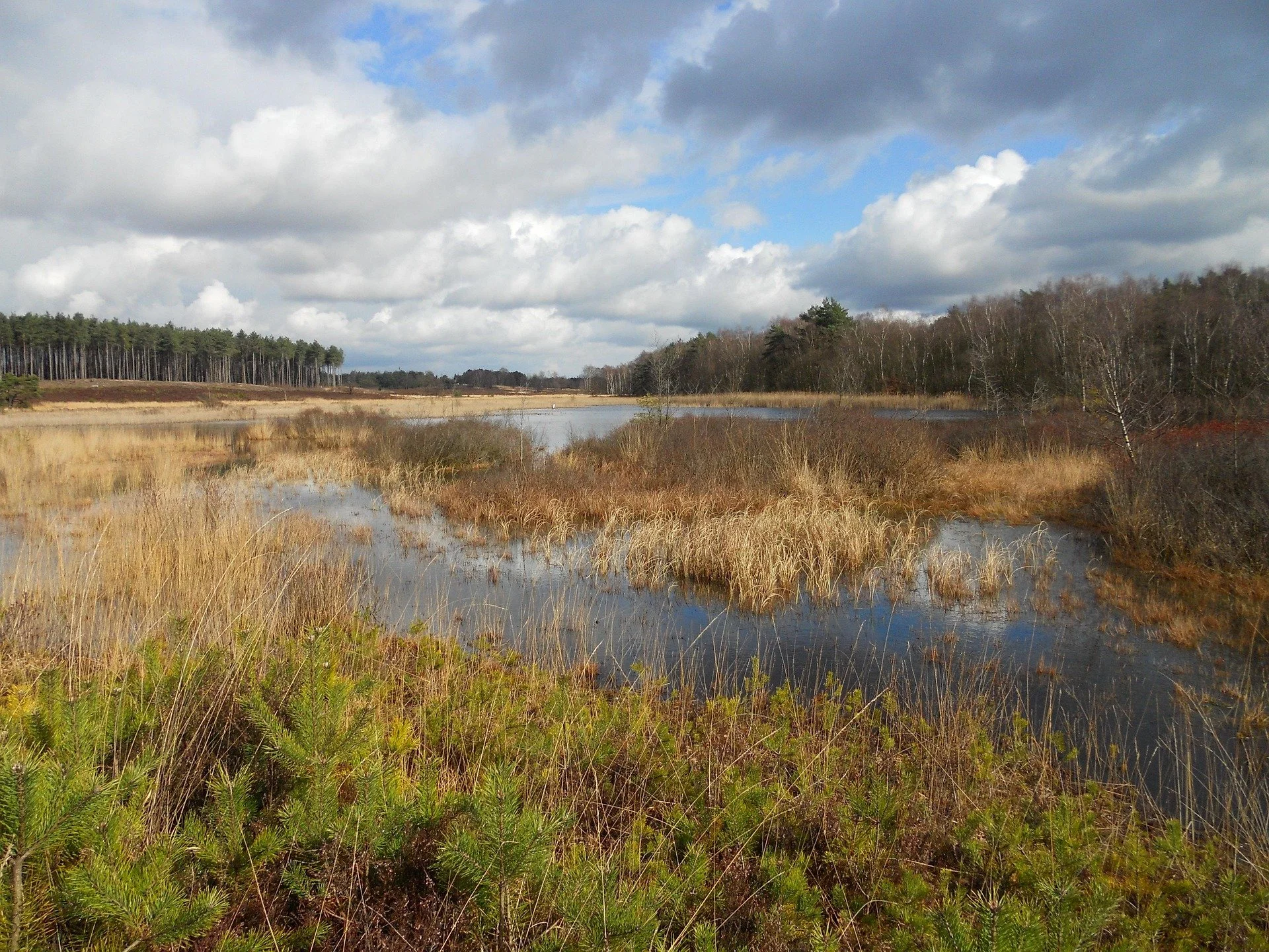 Moorführung und Bohrung im Schechenfilz