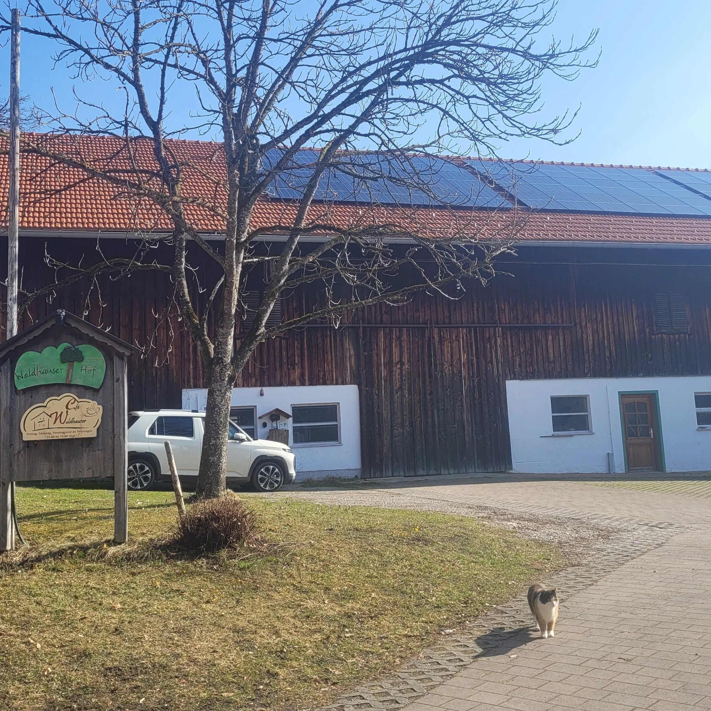 Erneuerbare Energie im Gewerbe - Führung