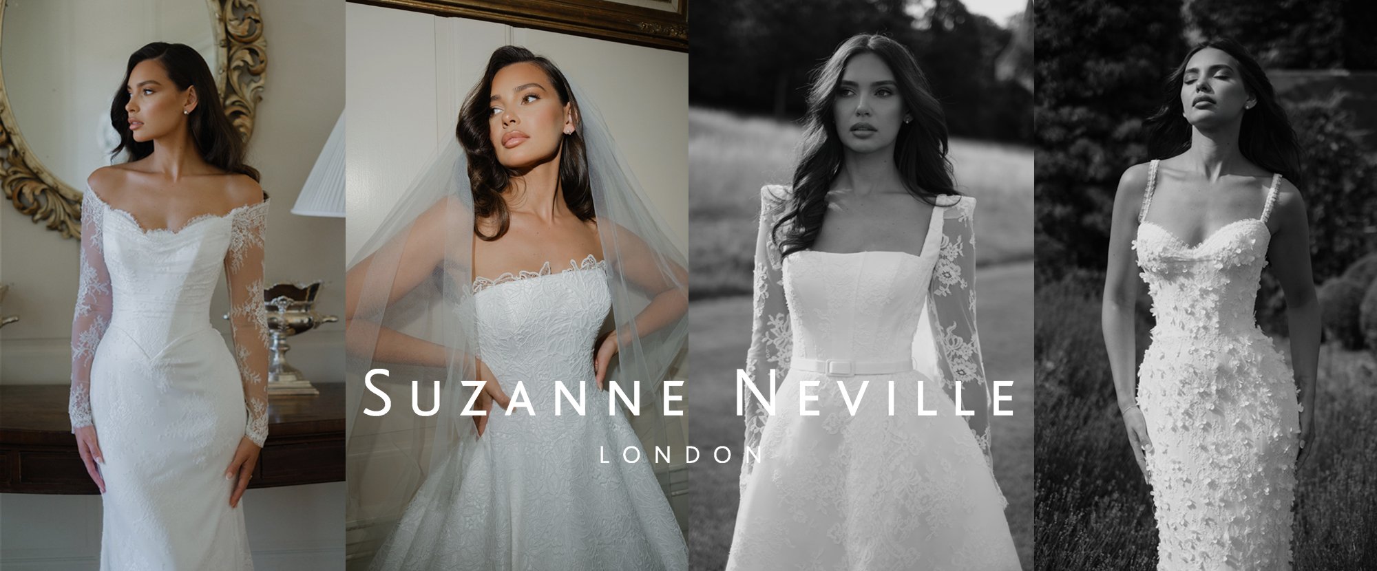 suzanne neville banner].jpeg