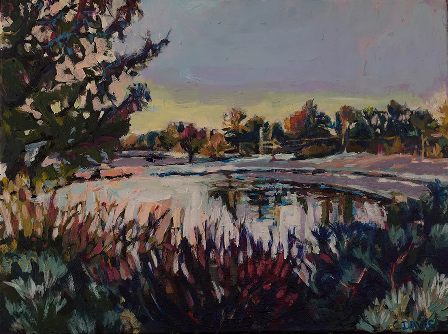 Scarborough Park , 9 x 14 inches, acrylic on canvas