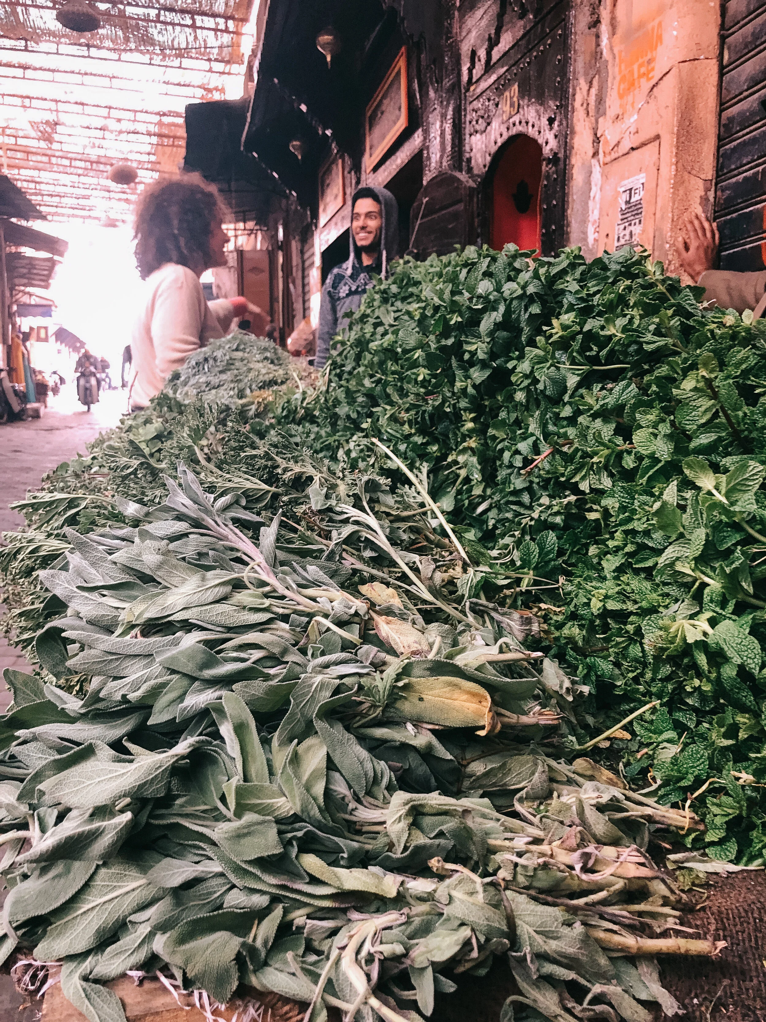 morocco_marrakech-herbs.JPG