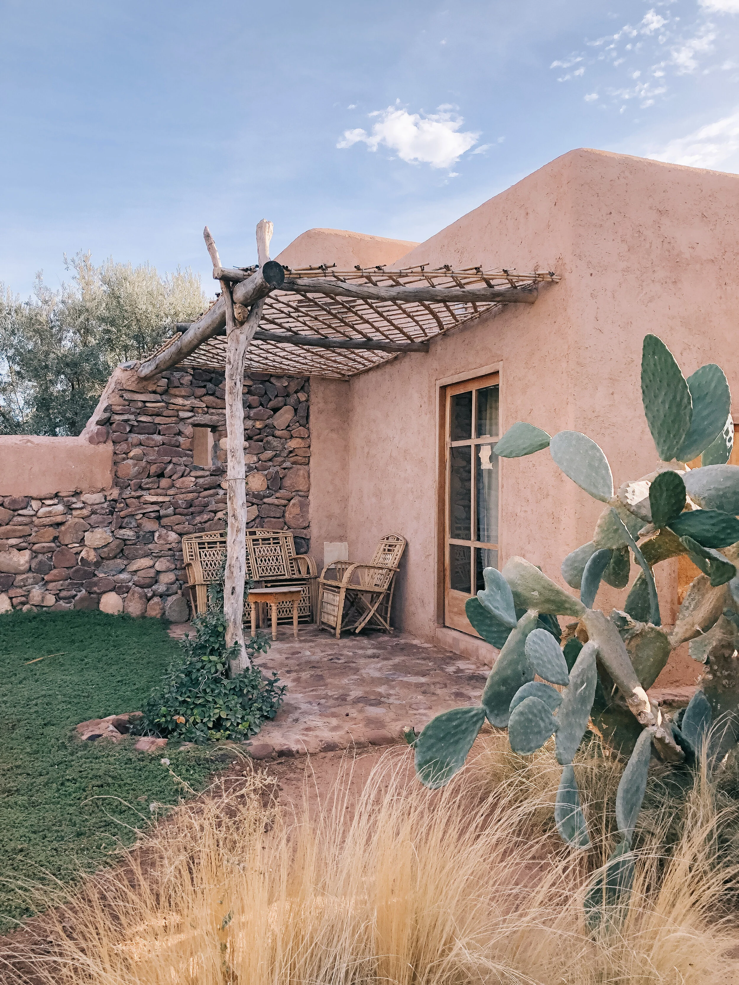 Ingredient Spotlight: Prickly Pear Oil